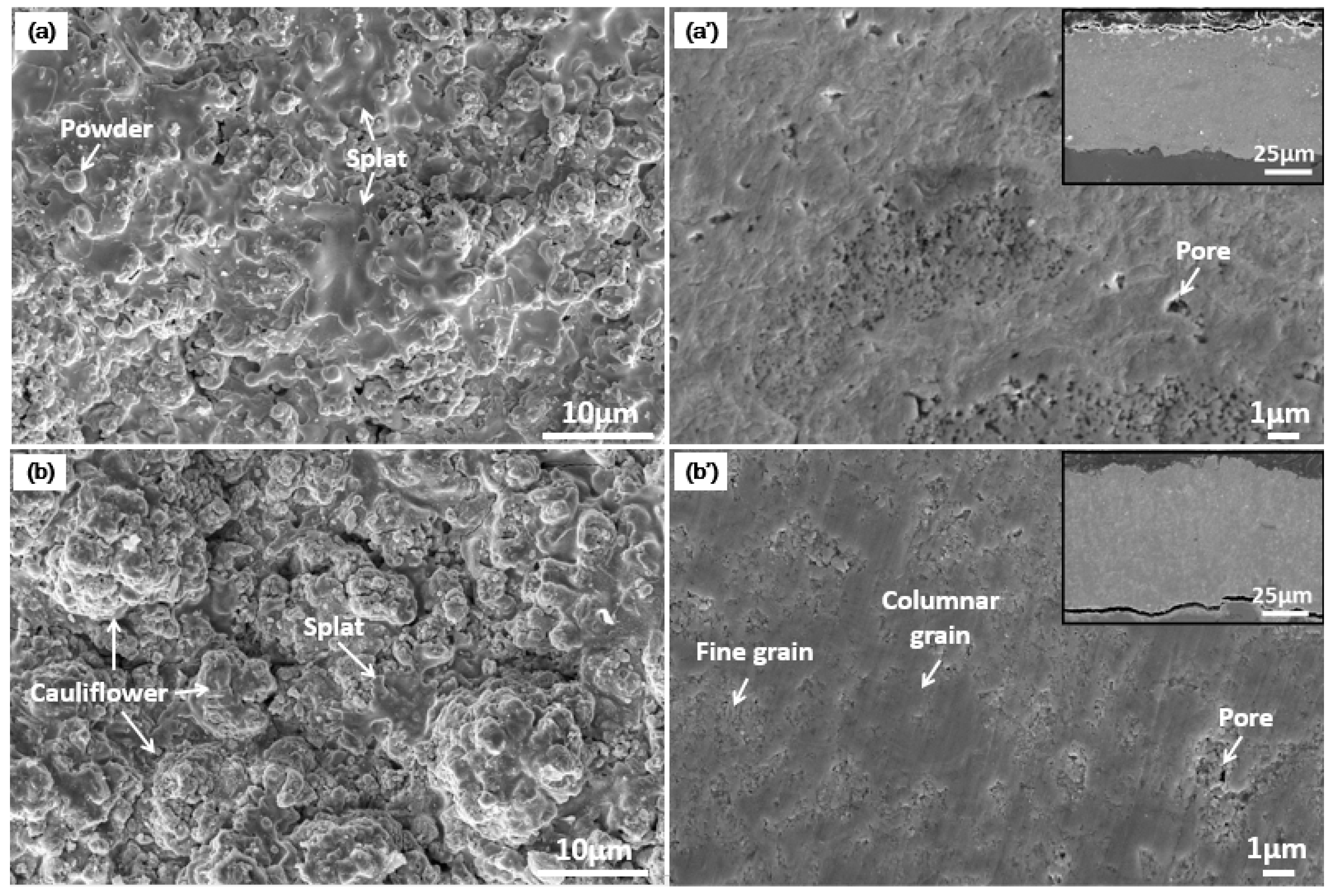 Coatings 09 00717 g002 550