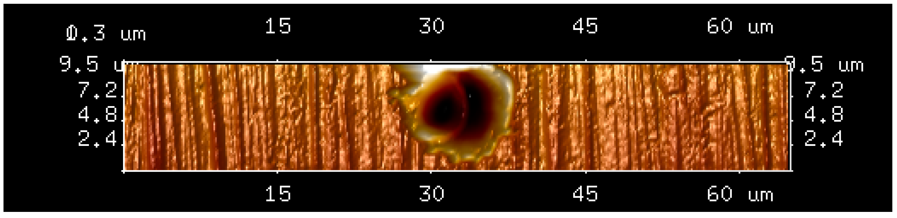 Coatings 09 00718 g001