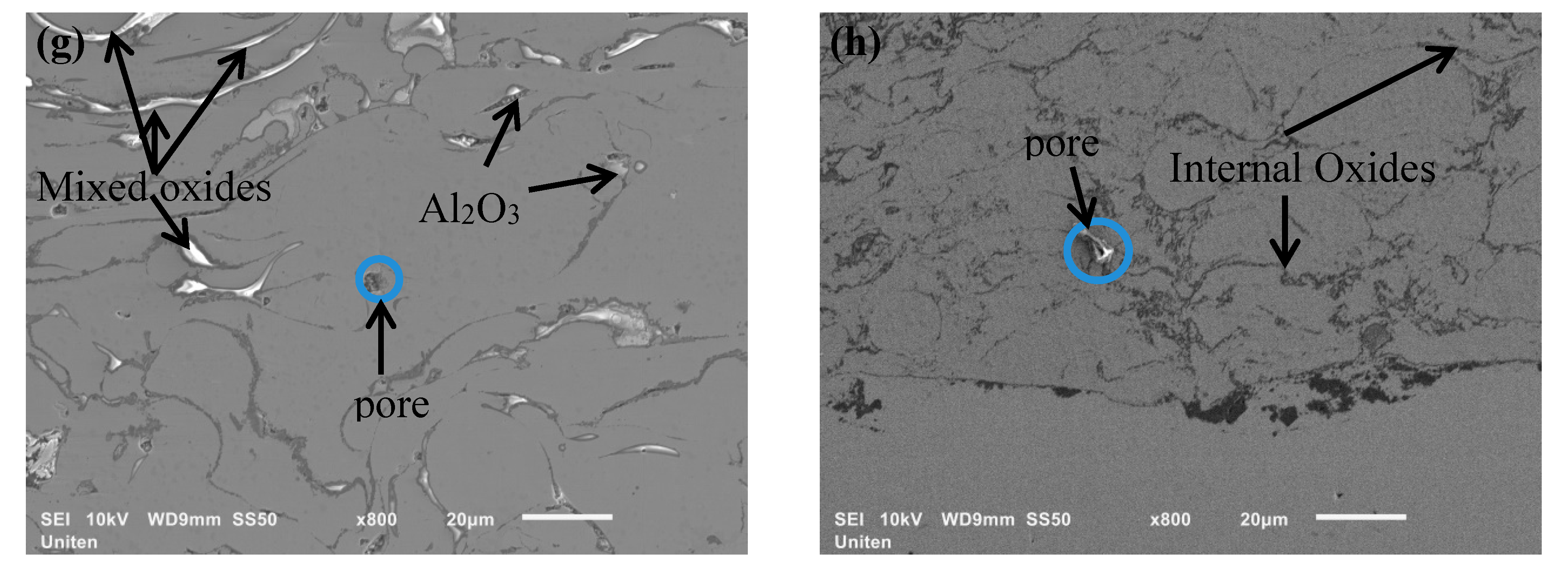 Coatings 09 00719 g001b Coatings 09 00719 g001b