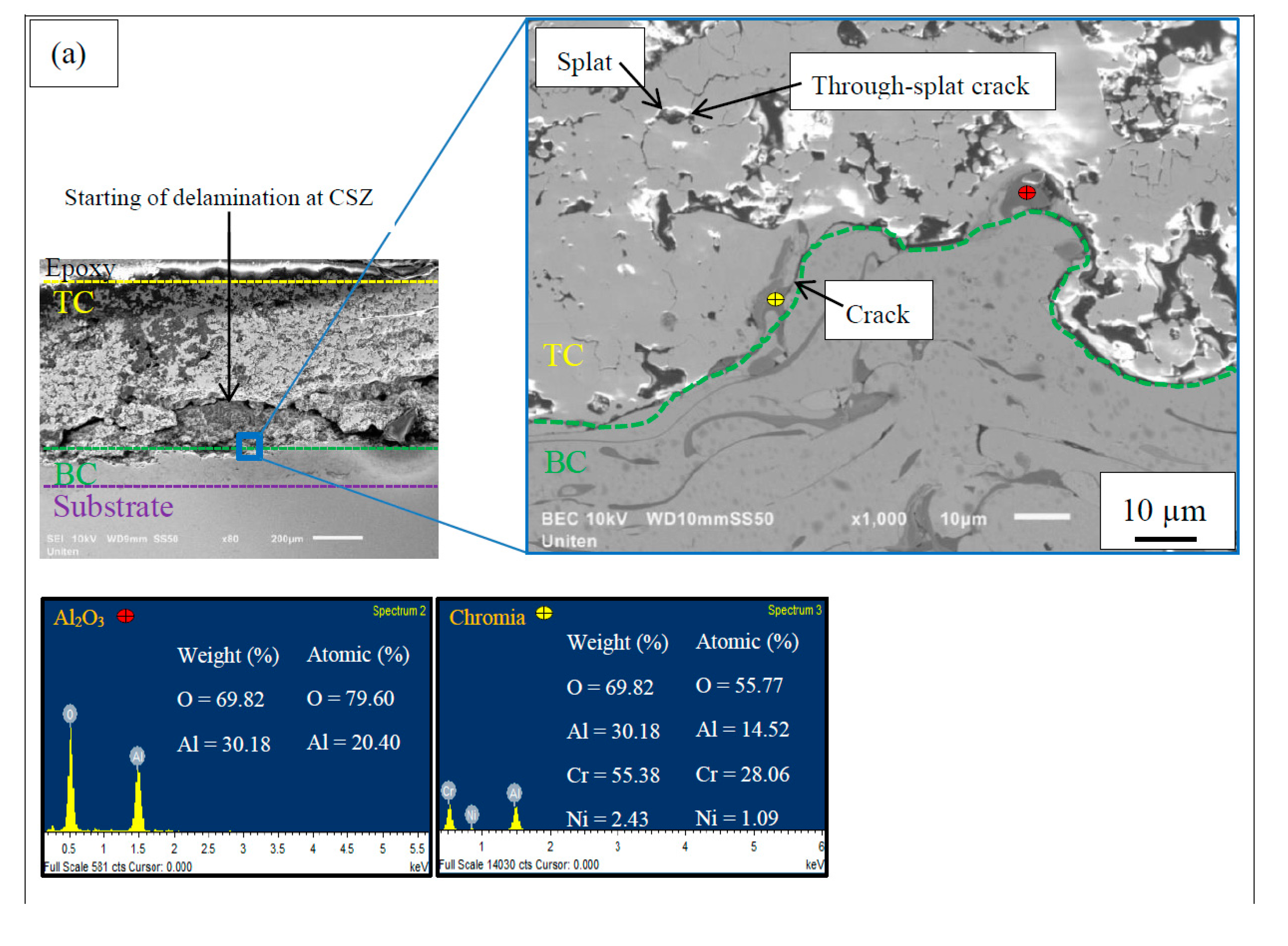 Coatings 09 00719 g003a Coatings 09 00719 g003a