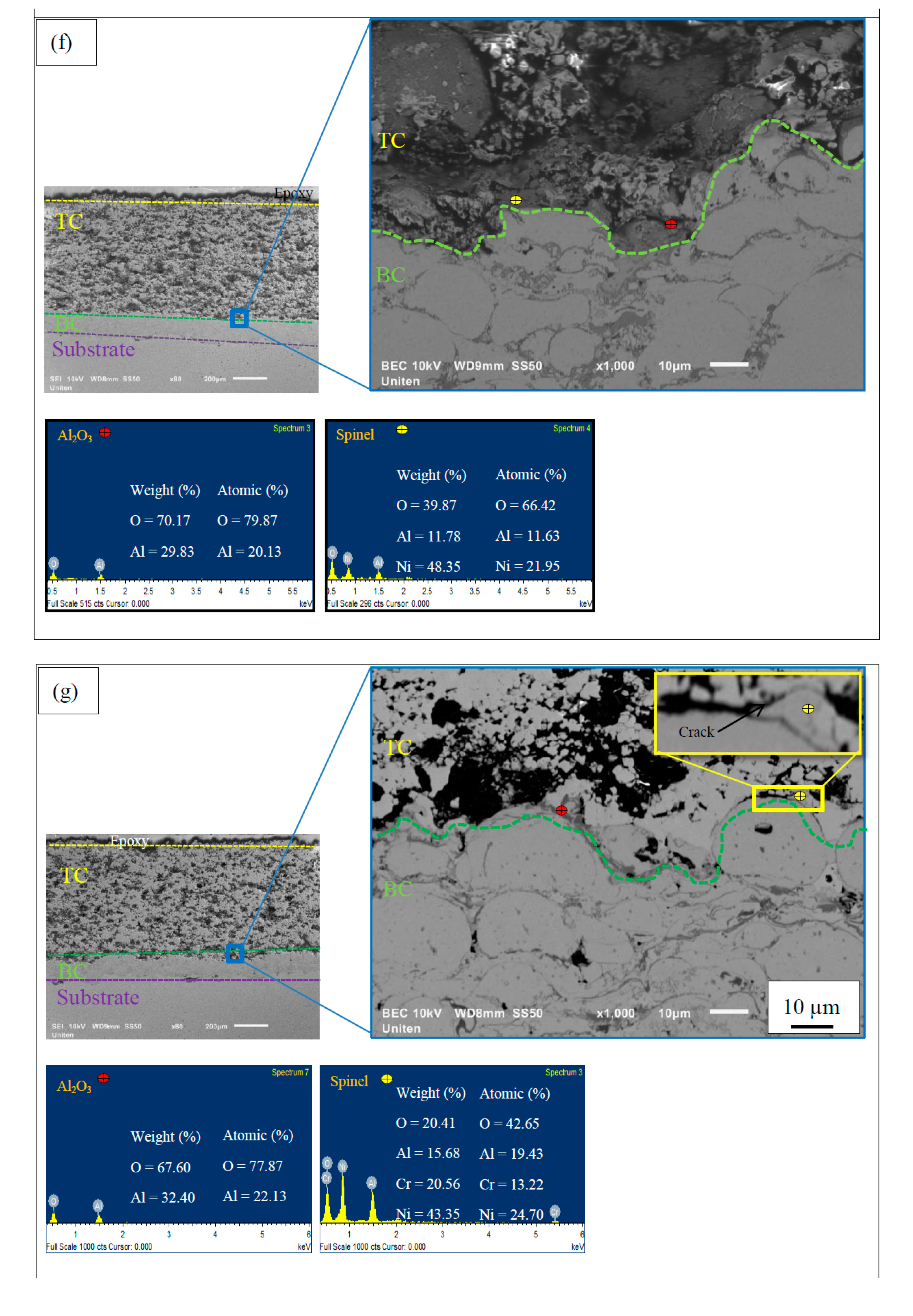 Coatings 09 00719 g003d Coatings 09 00719 g003d
