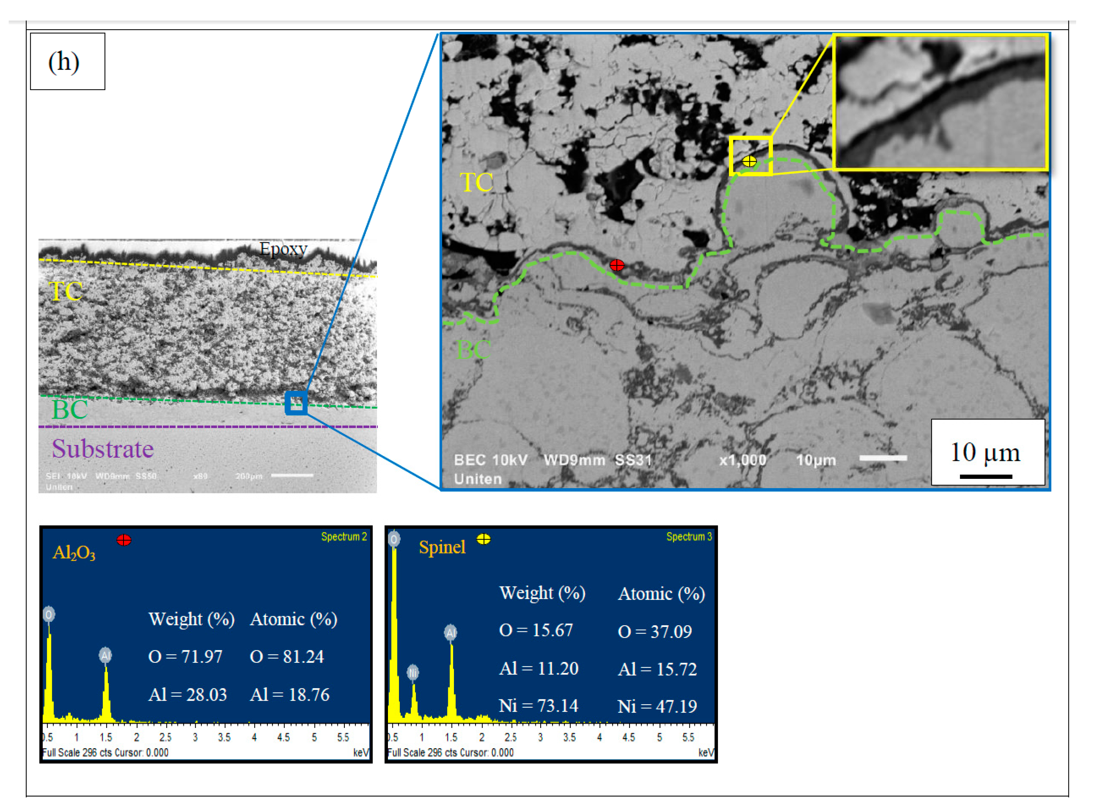 Coatings 09 00719 g003e Coatings 09 00719 g003e