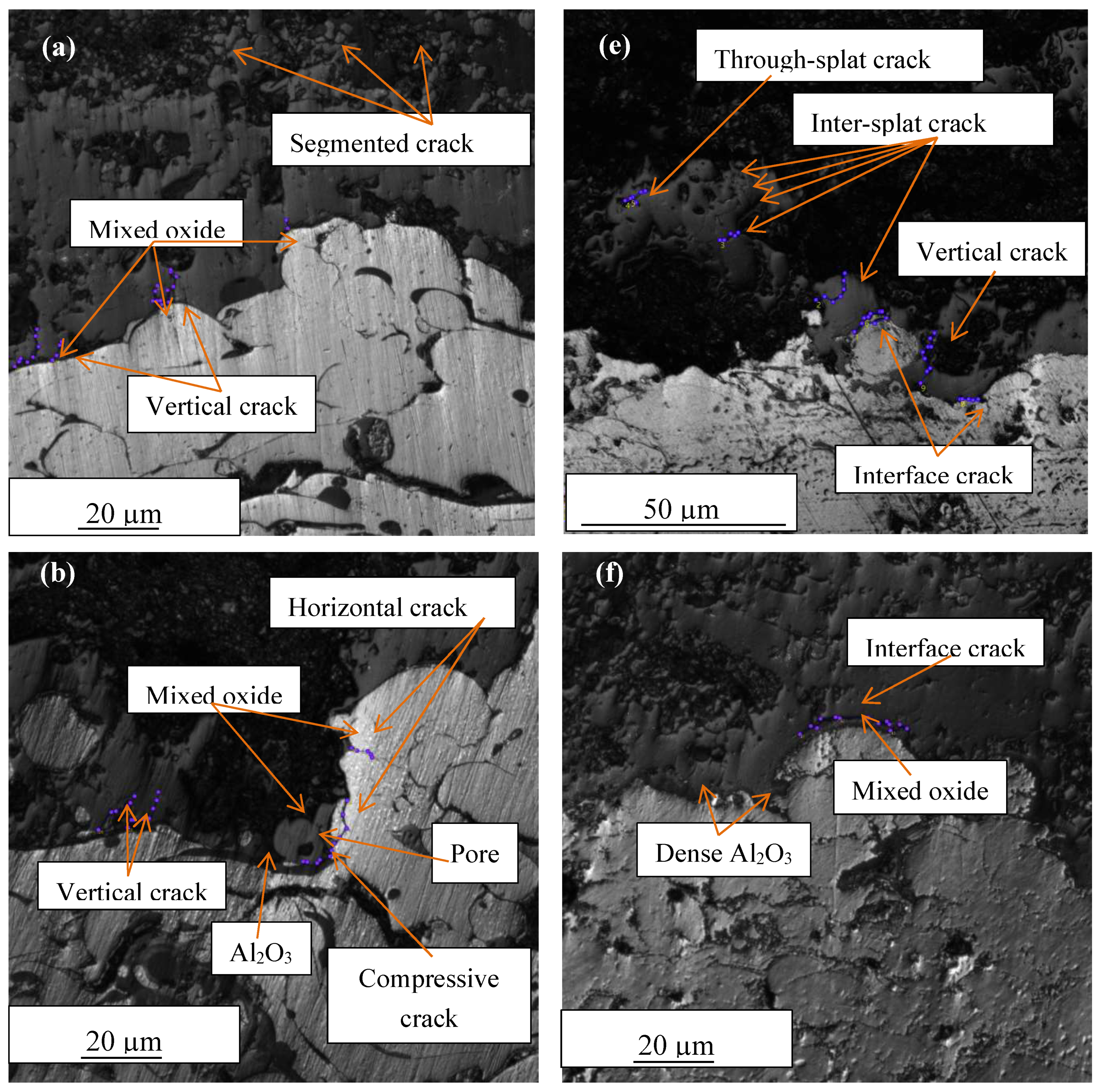 Coatings 09 00719 g006a Coatings 09 00719 g006a