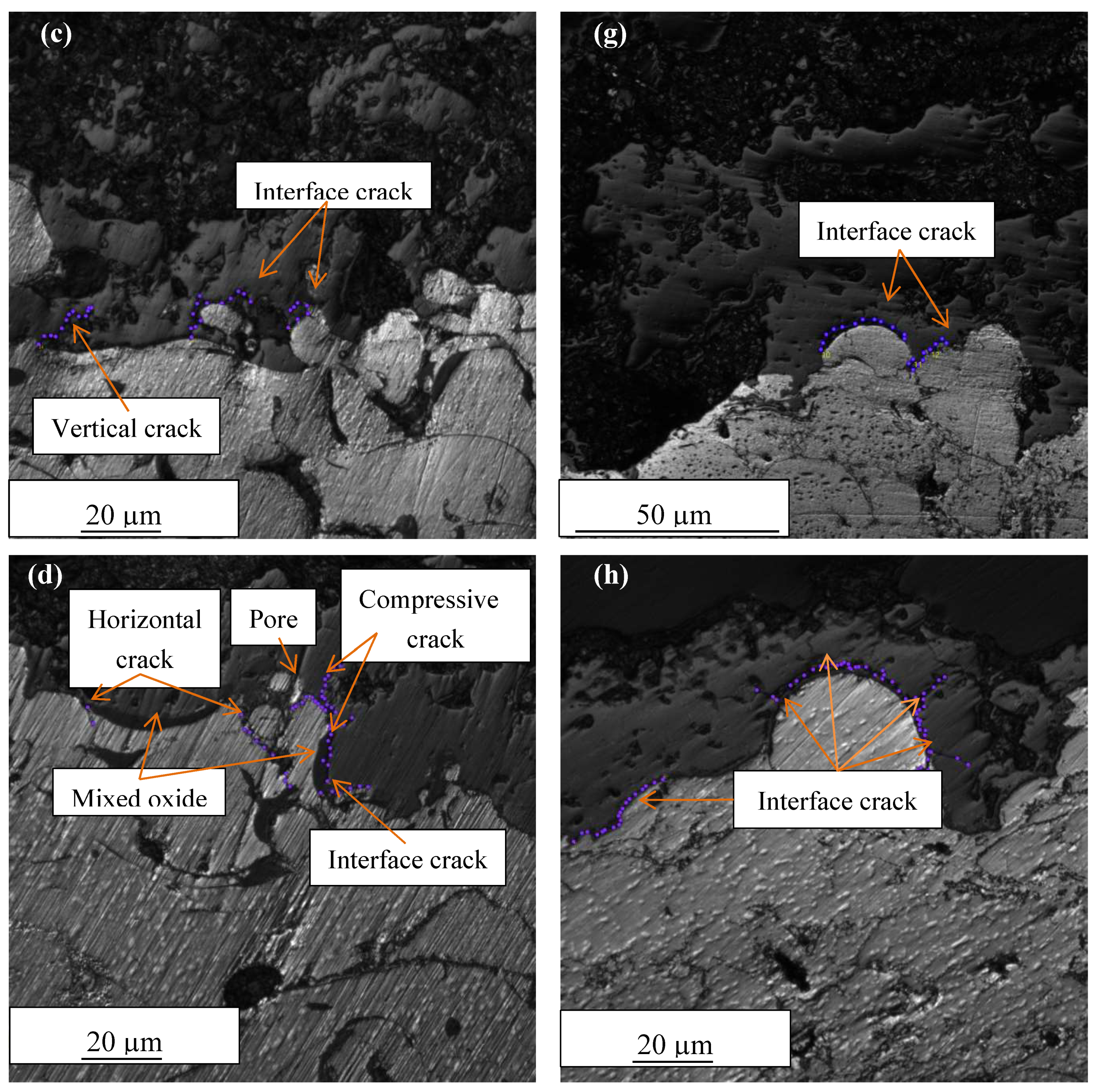 Coatings 09 00719 g006b Coatings 09 00719 g006b