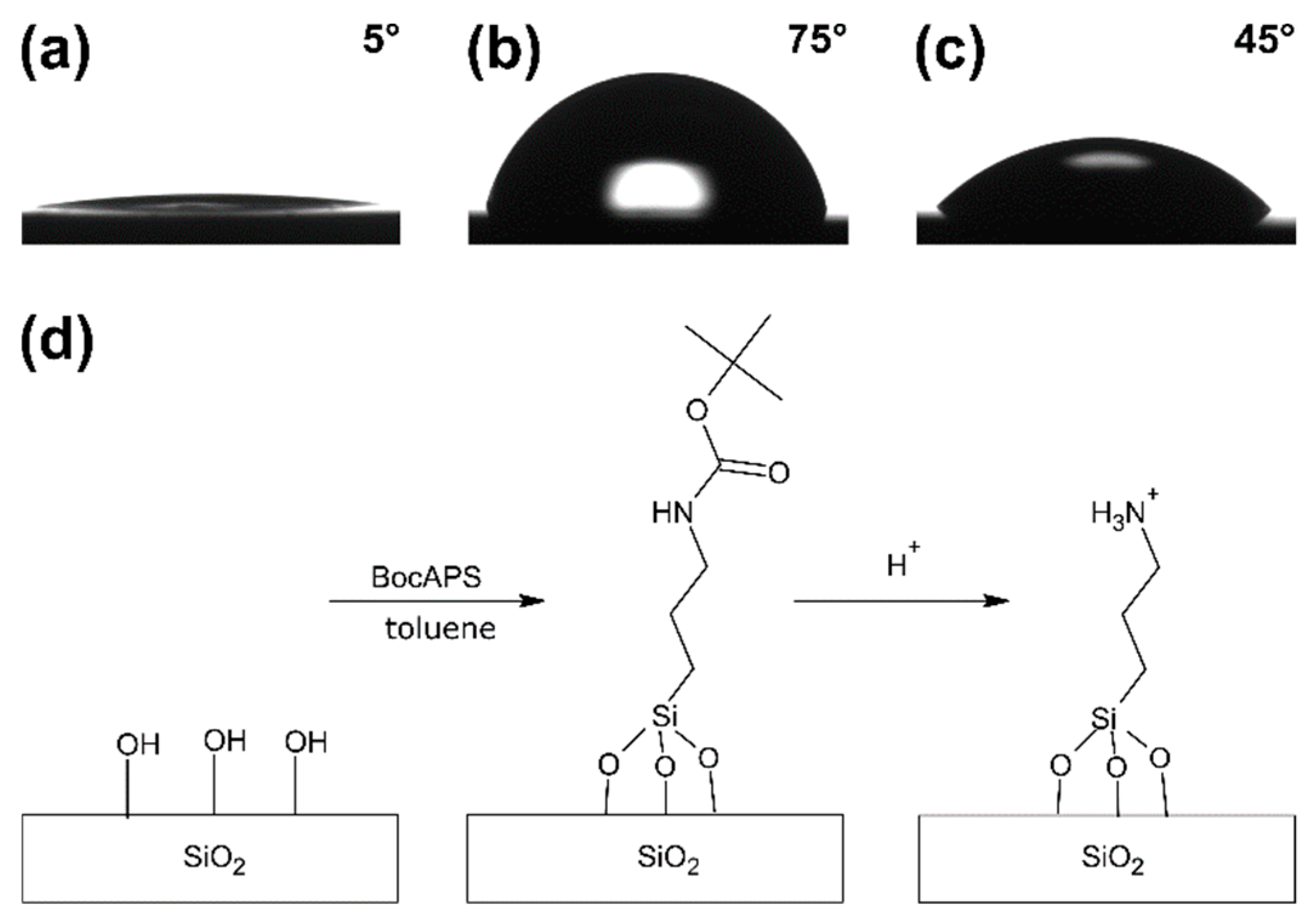 Coatings 09 00726 g003