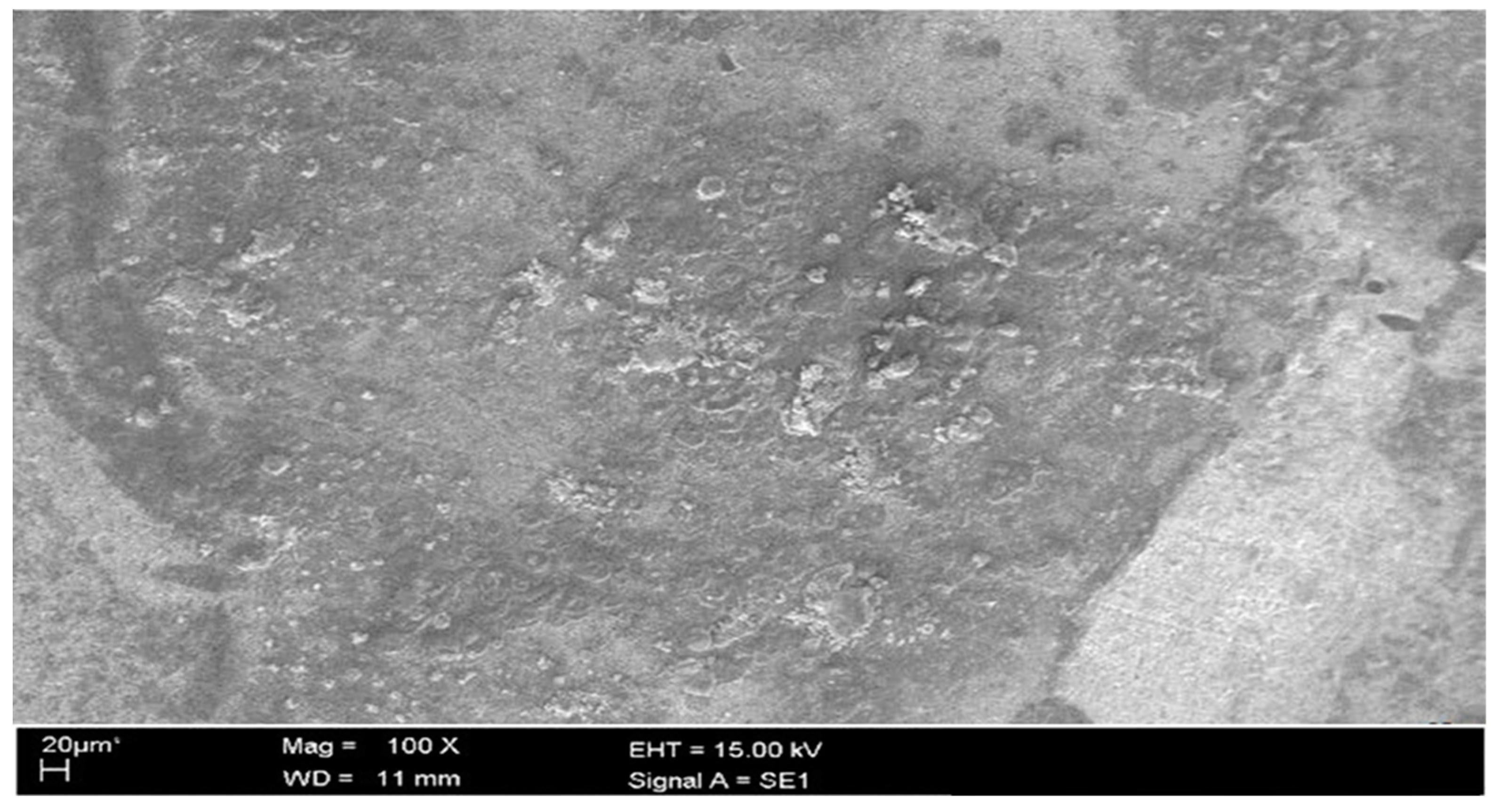 Coatings 09 00729 g010