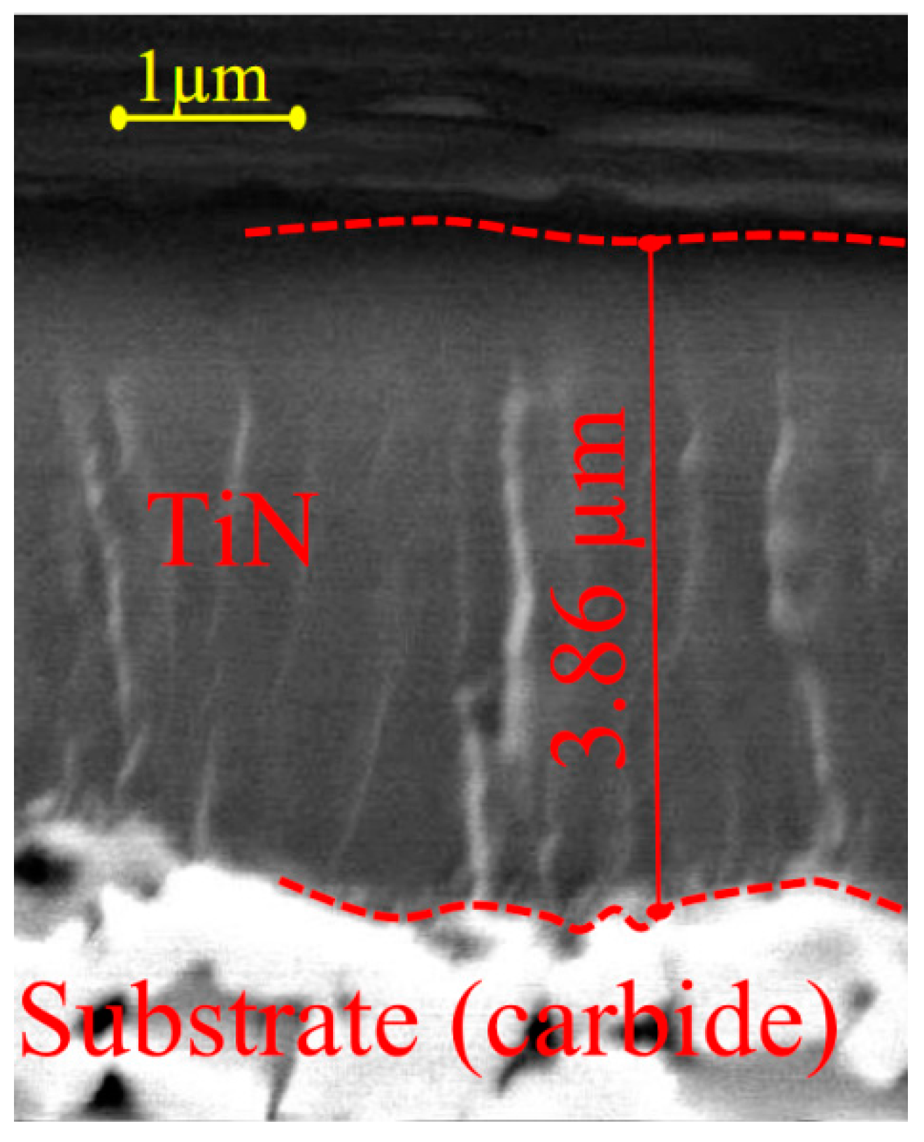 Coatings 09 00730 g002