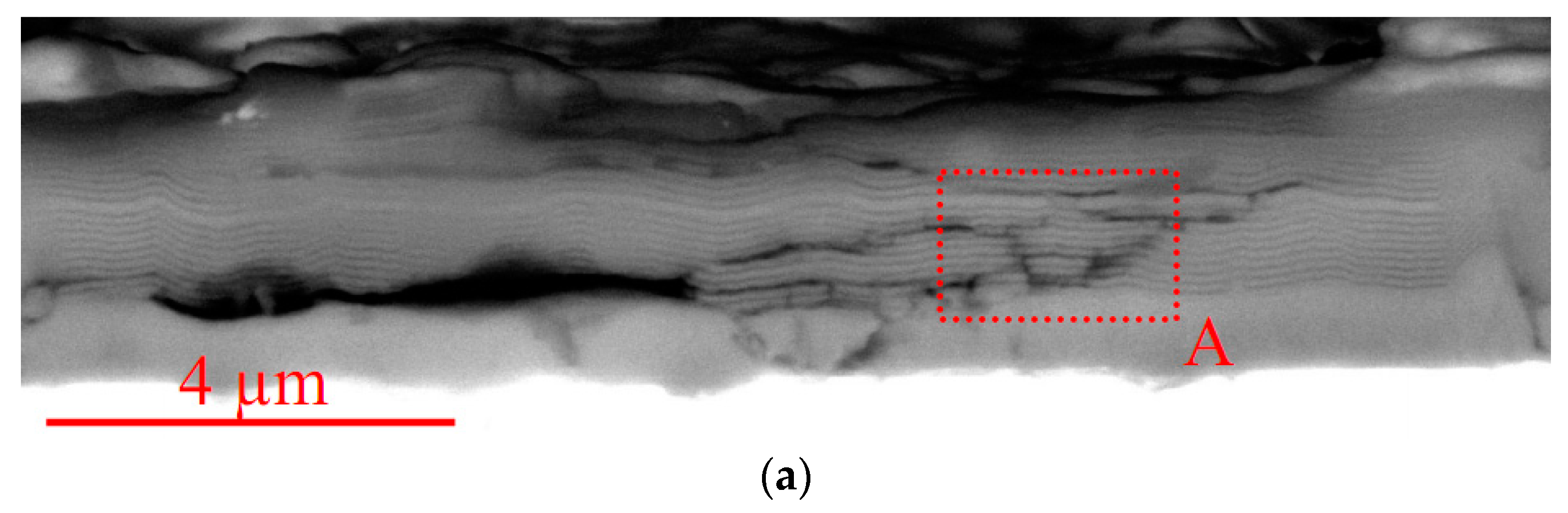 Coatings 09 00730 g018a
