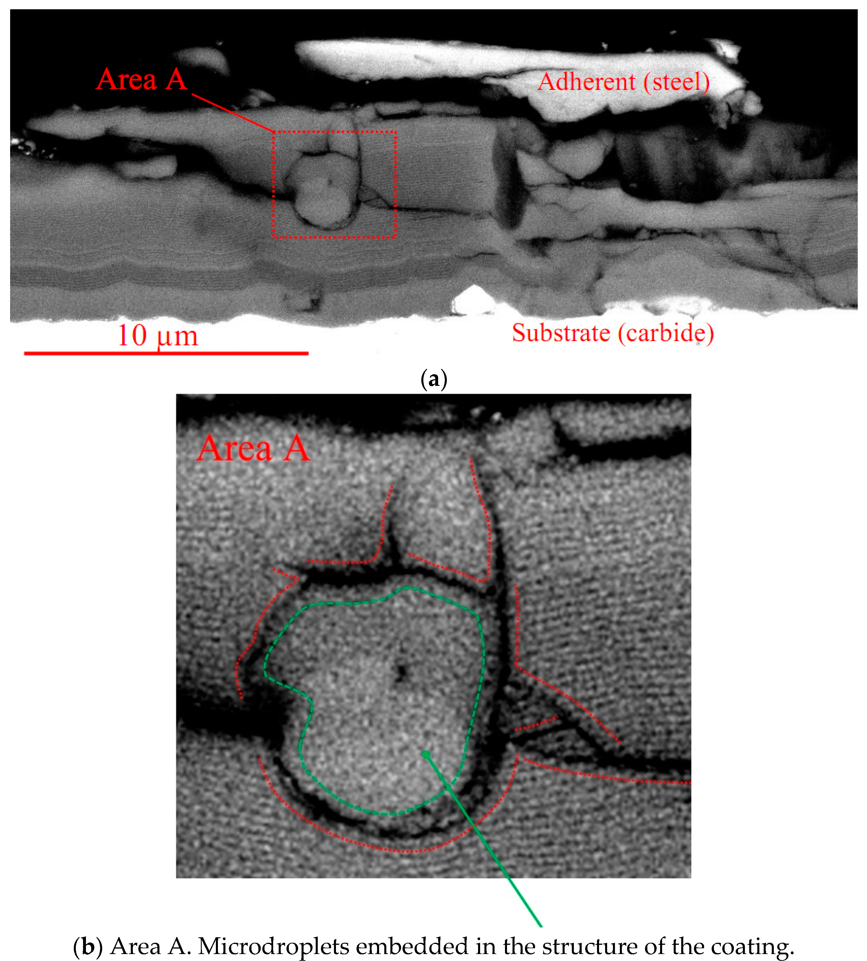 Coatings 09 00730 g020a