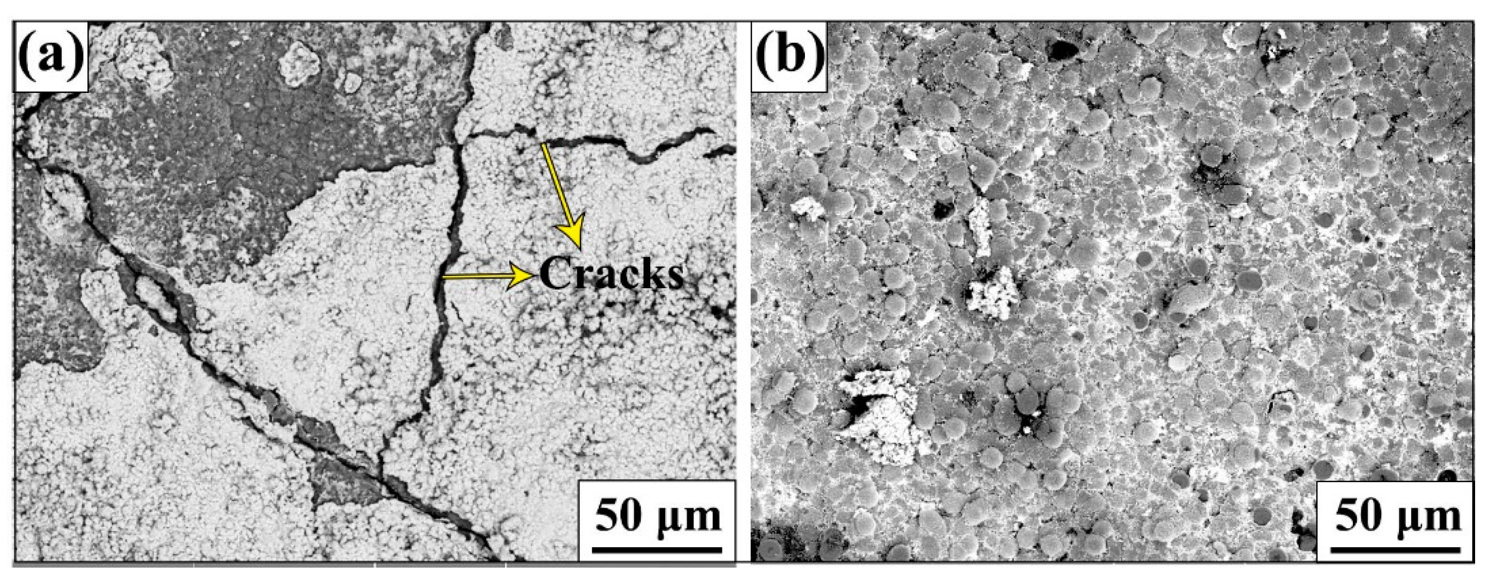 Coatings 09 00735 g008
