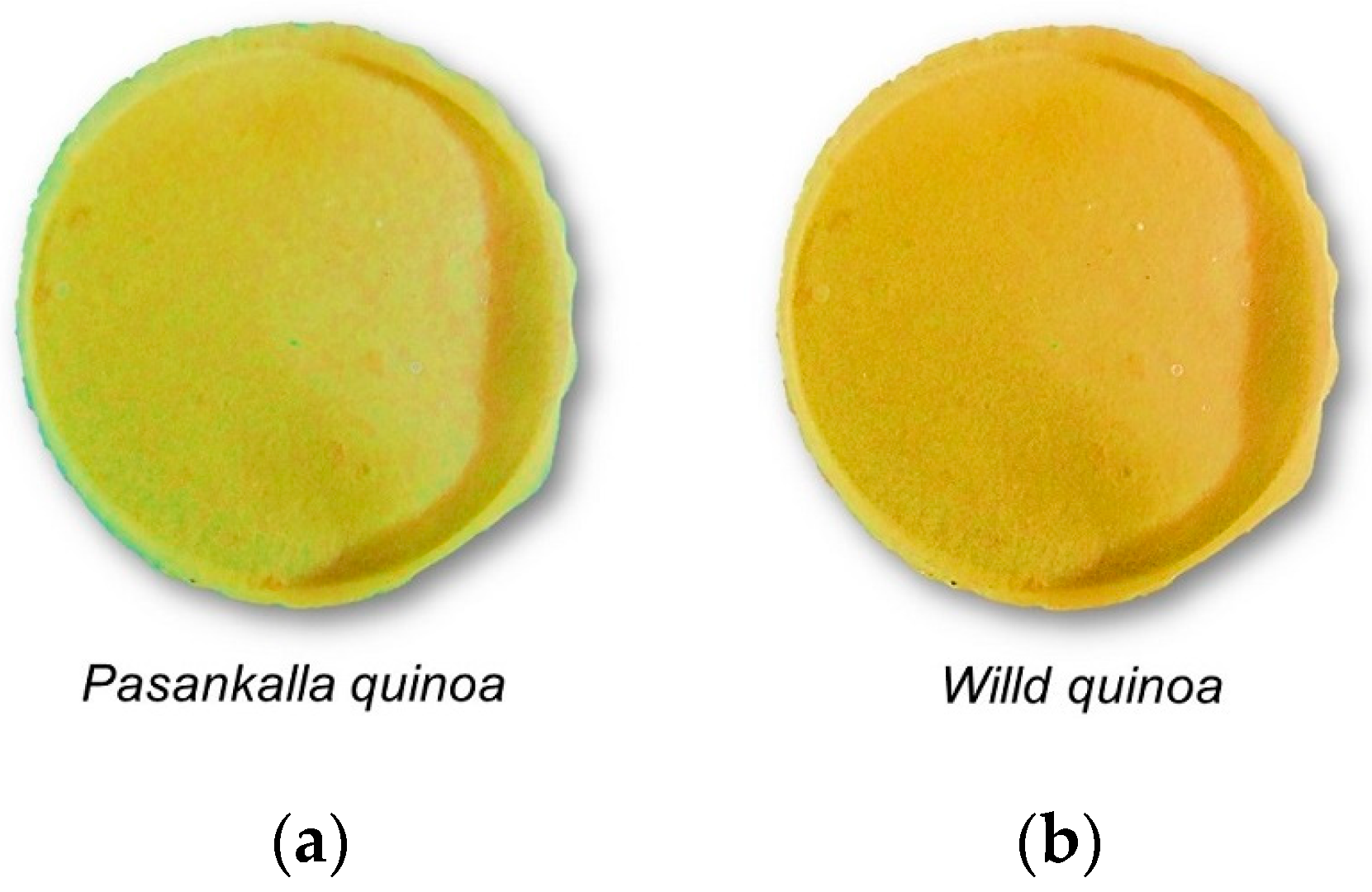Coatings 09 00736 g002