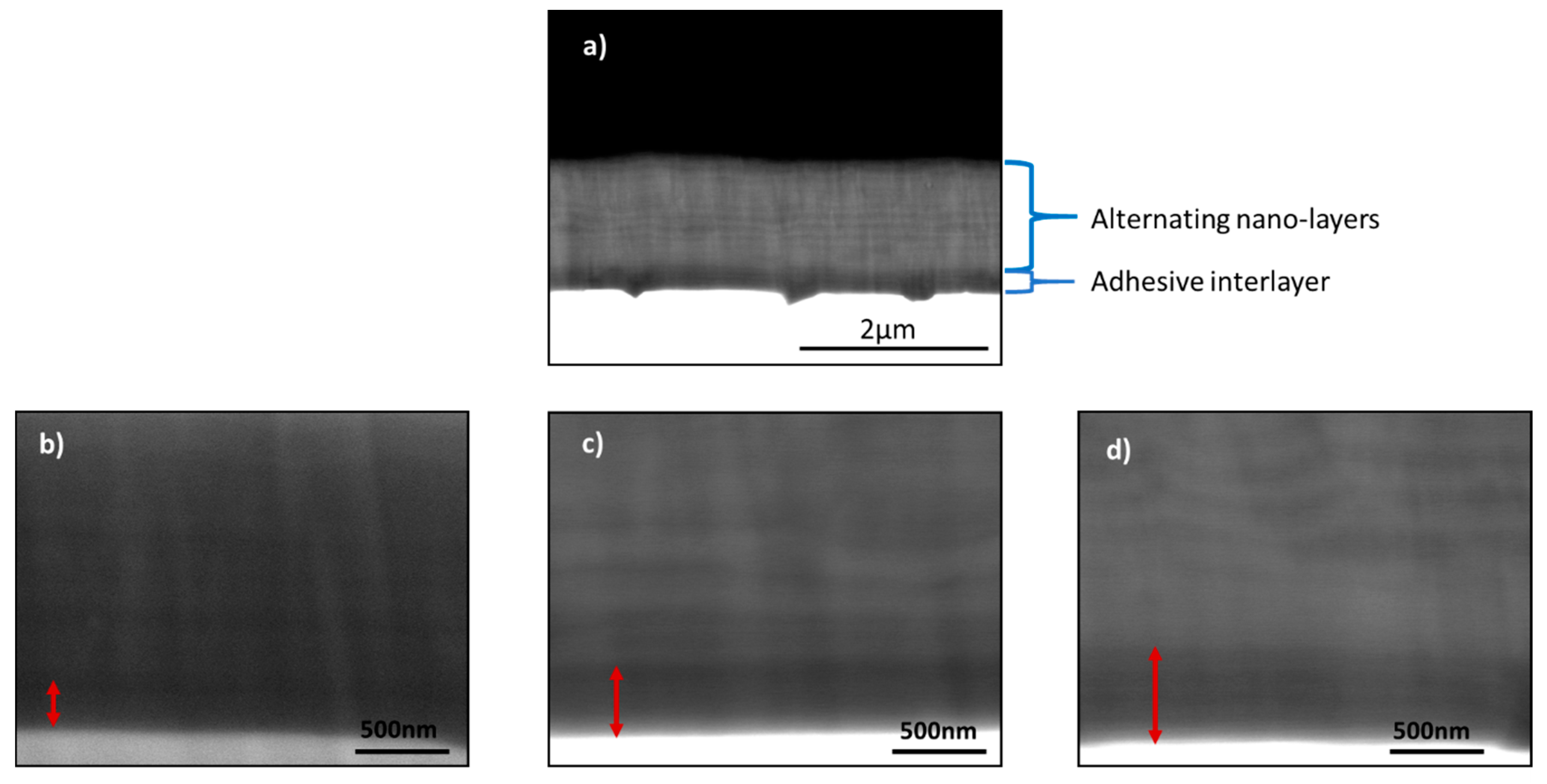 Coatings 09 00737 g004