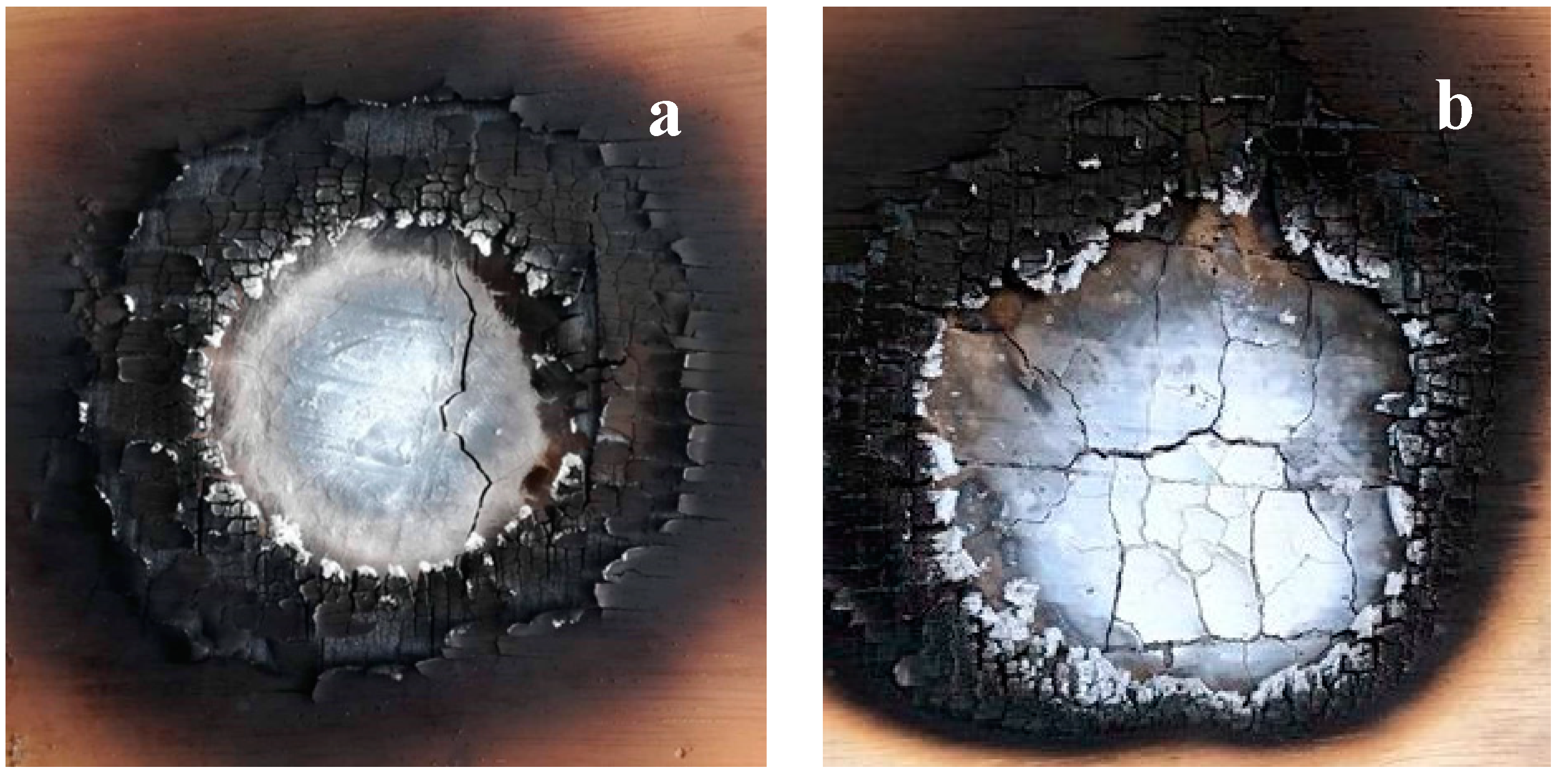 Coatings 09 00738 g013