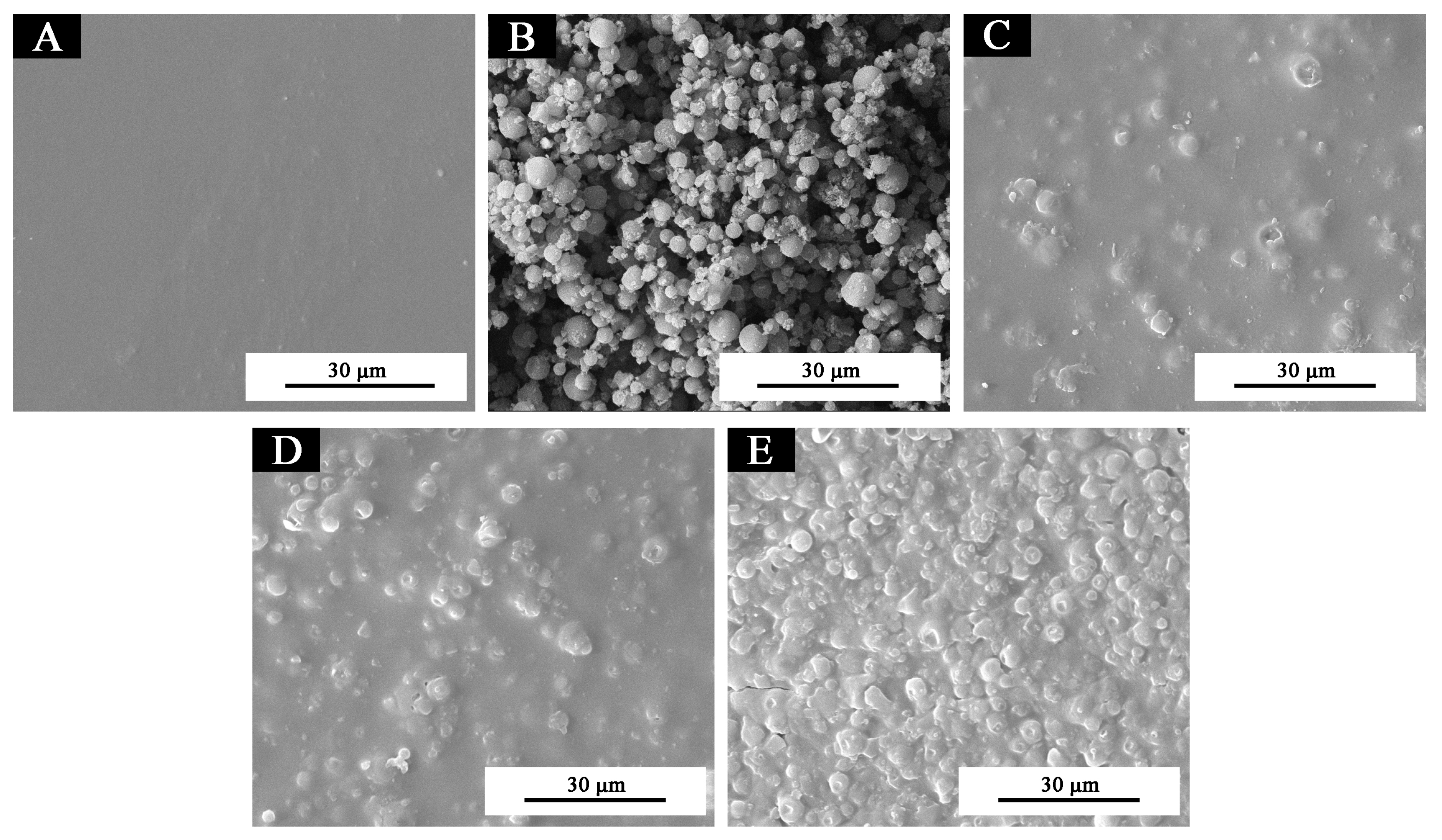 Coatings 09 00742 g003