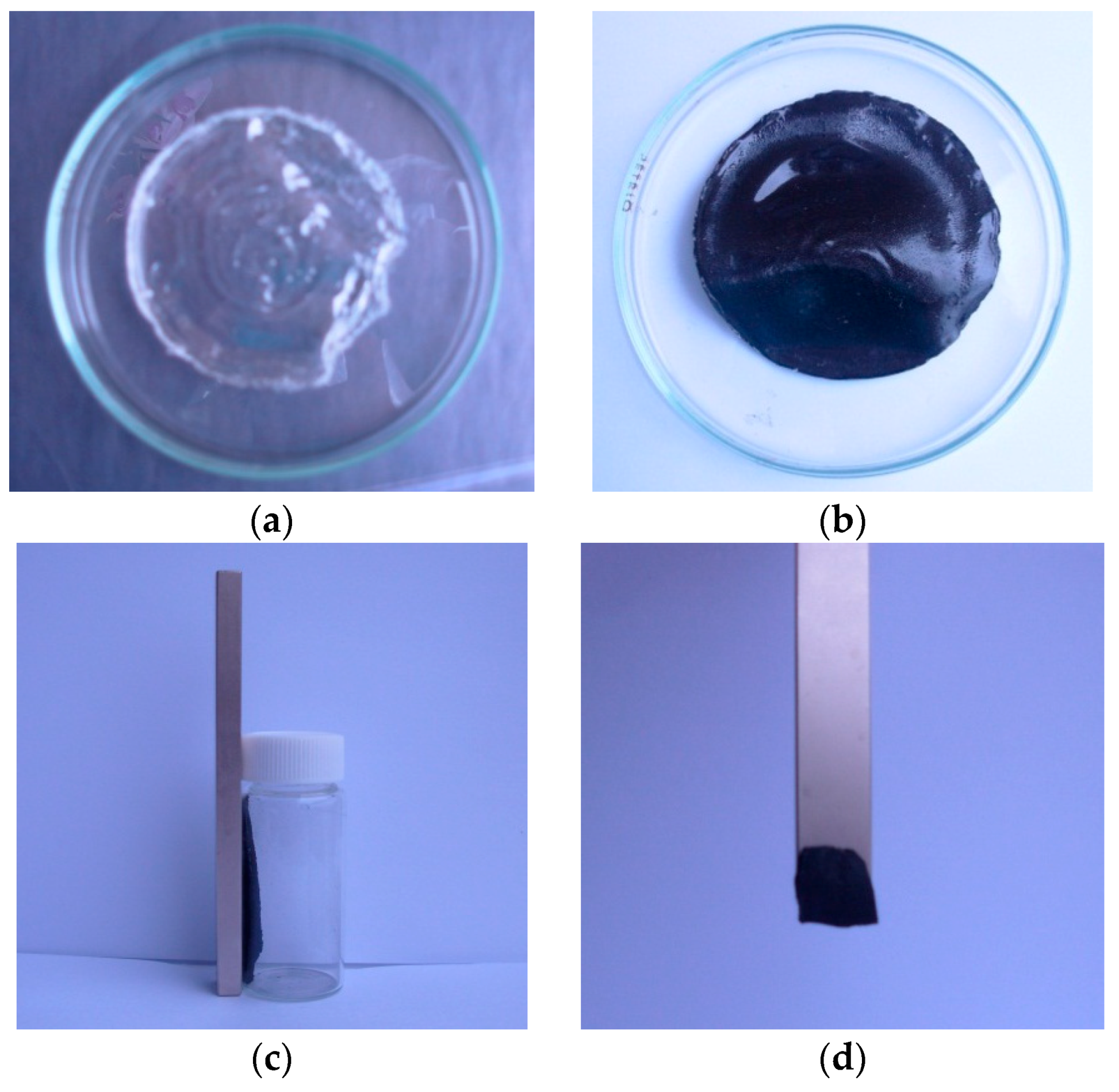 Coatings 09 00744 g001