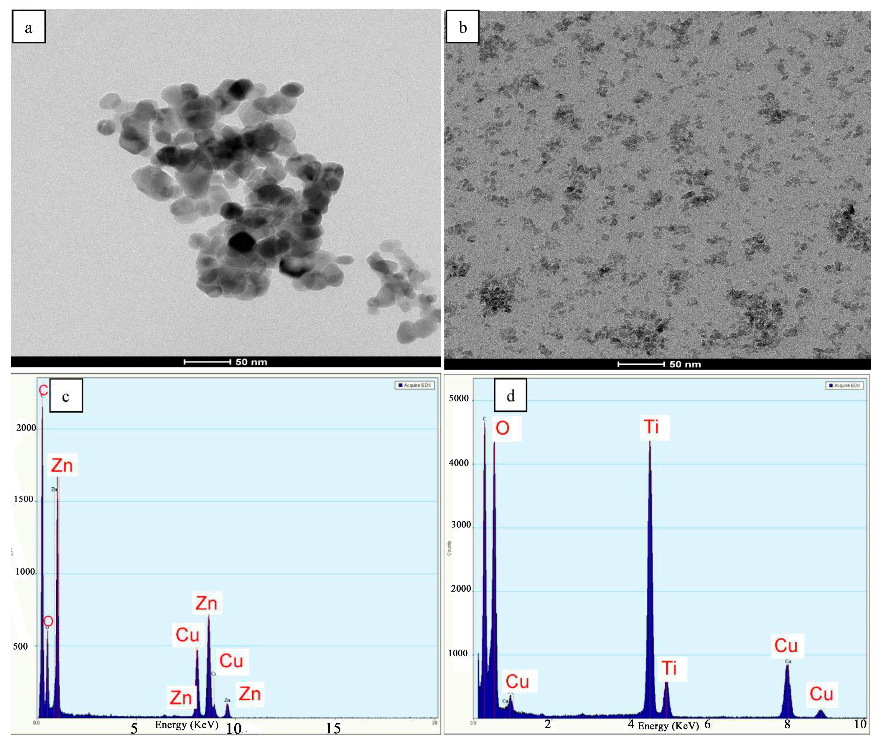 Coatings 09 00748 g003
