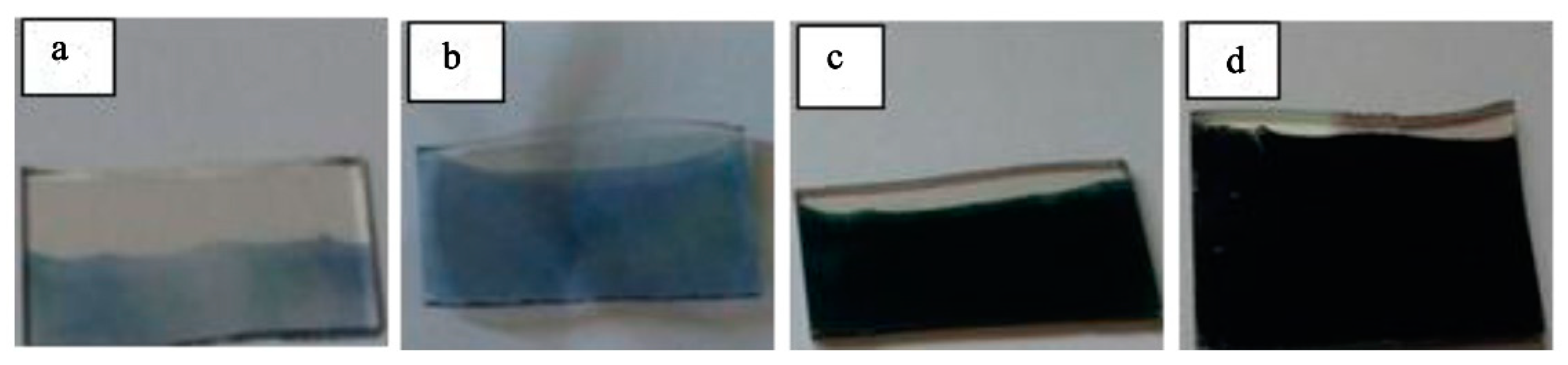 Coatings 09 00748 g007