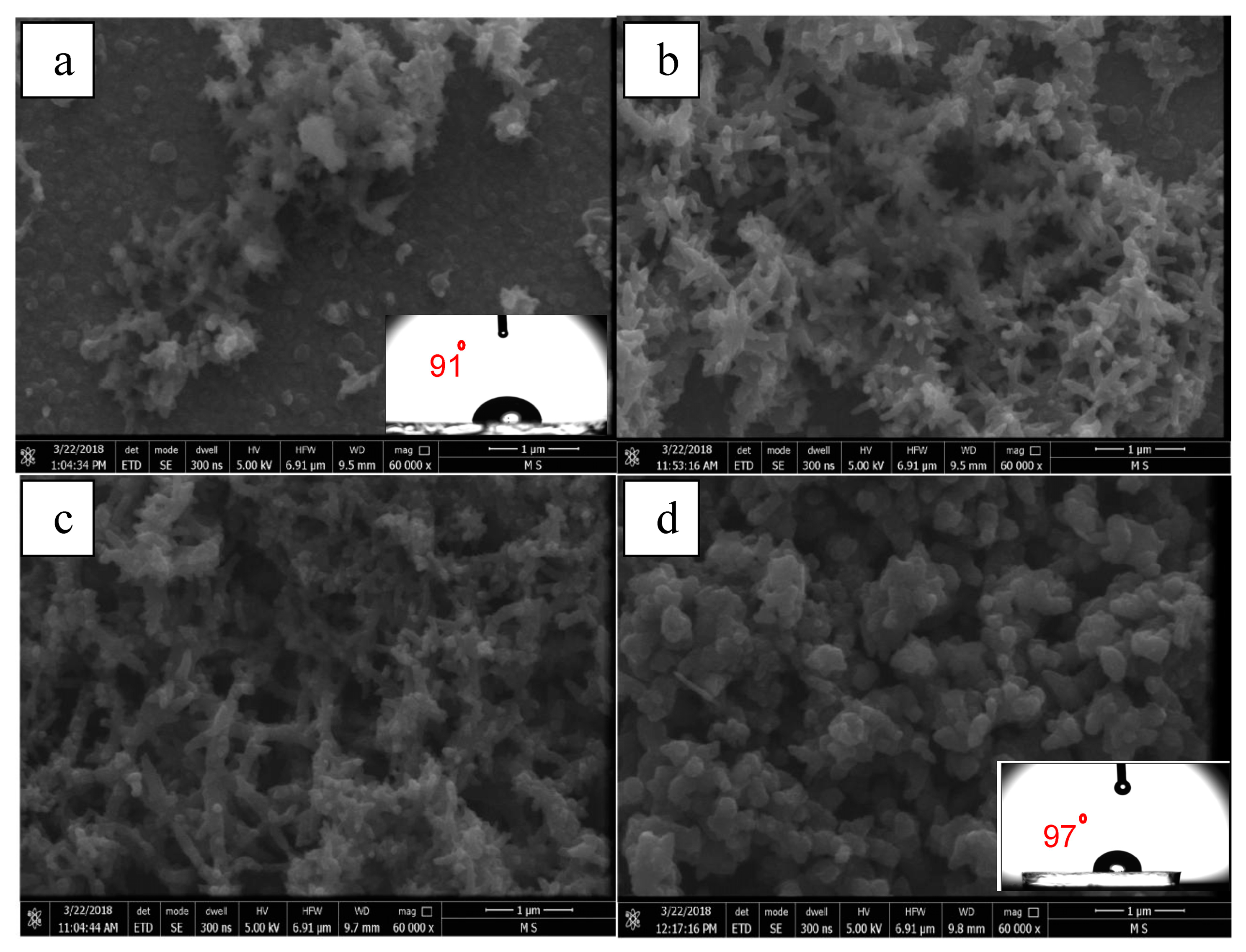 Coatings 09 00748 g008