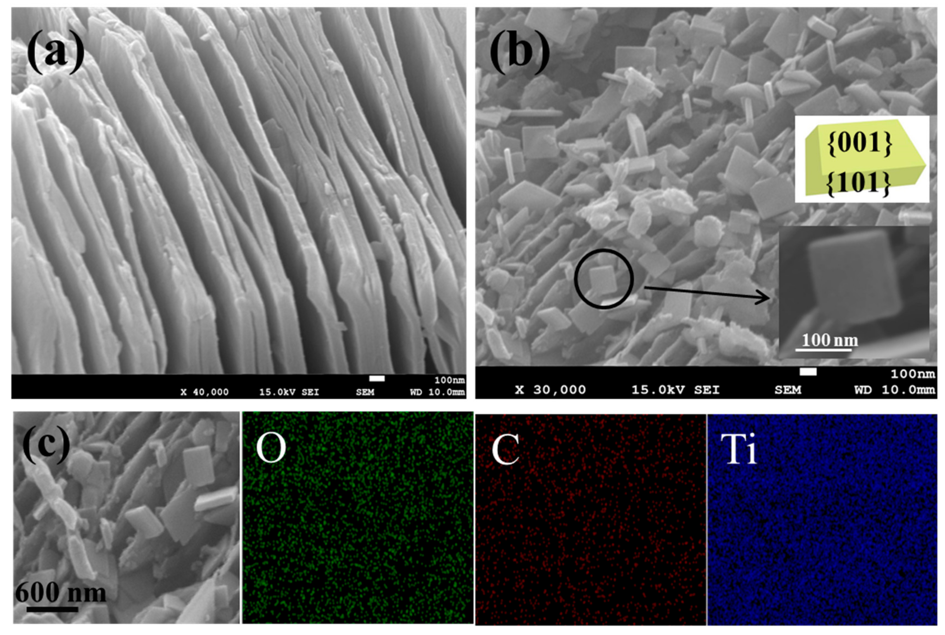 Coatings 09 00750 g004 Coatings 09 00750 g004