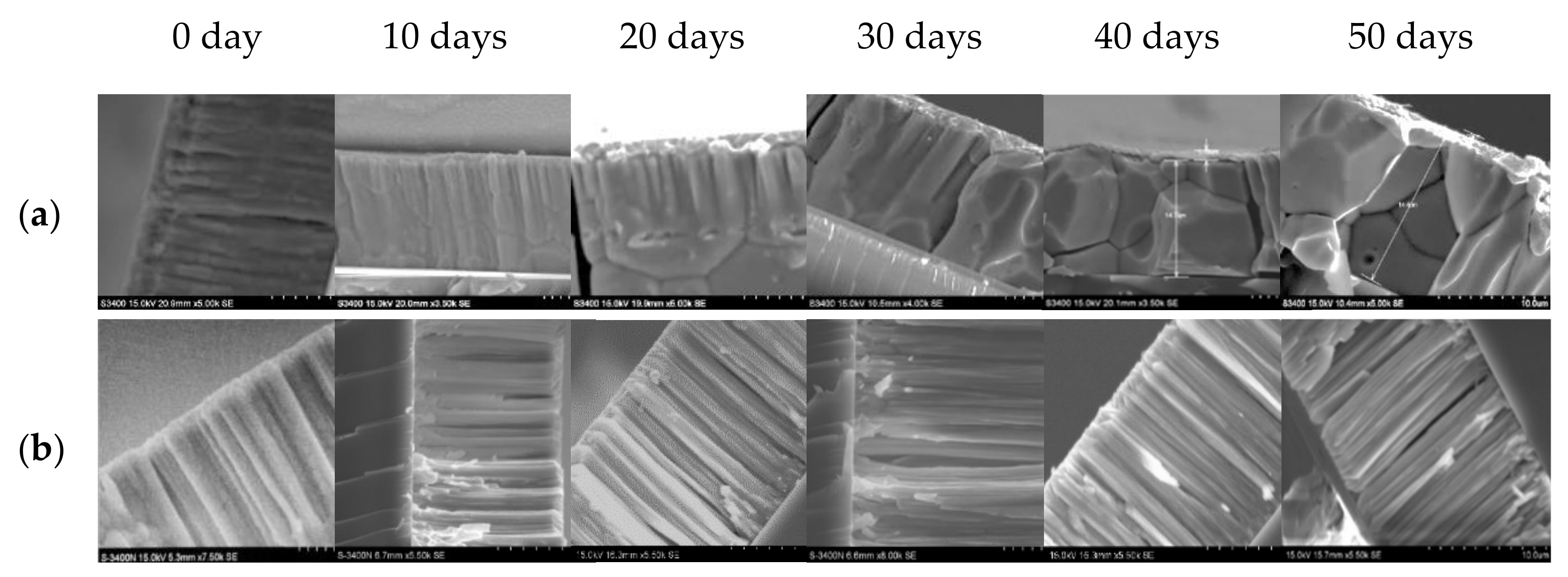 Coatings 09 00751 g007