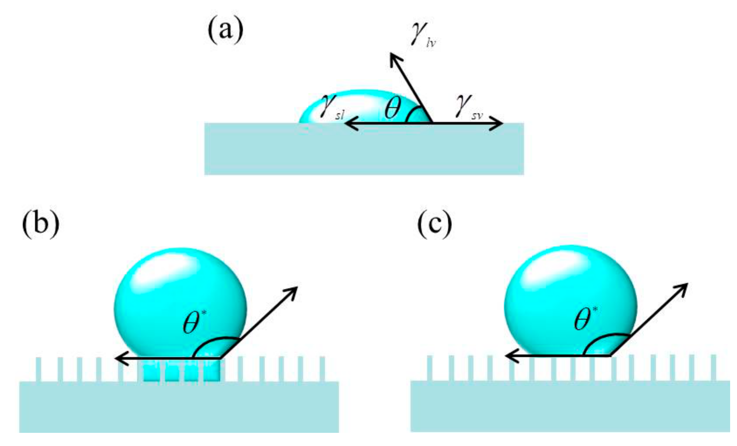 Coatings 09 00753 g001