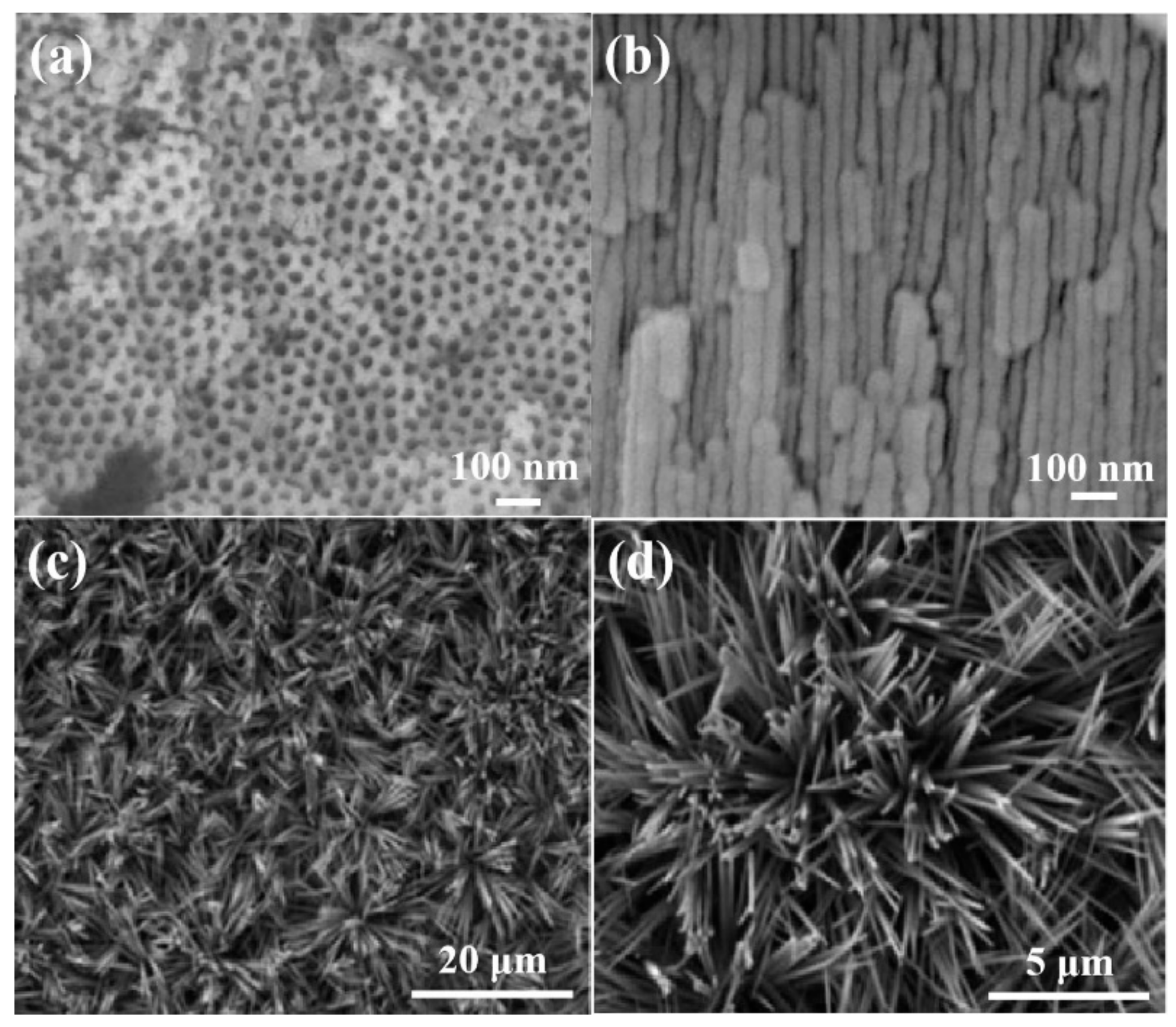 Coatings 09 00753 g005