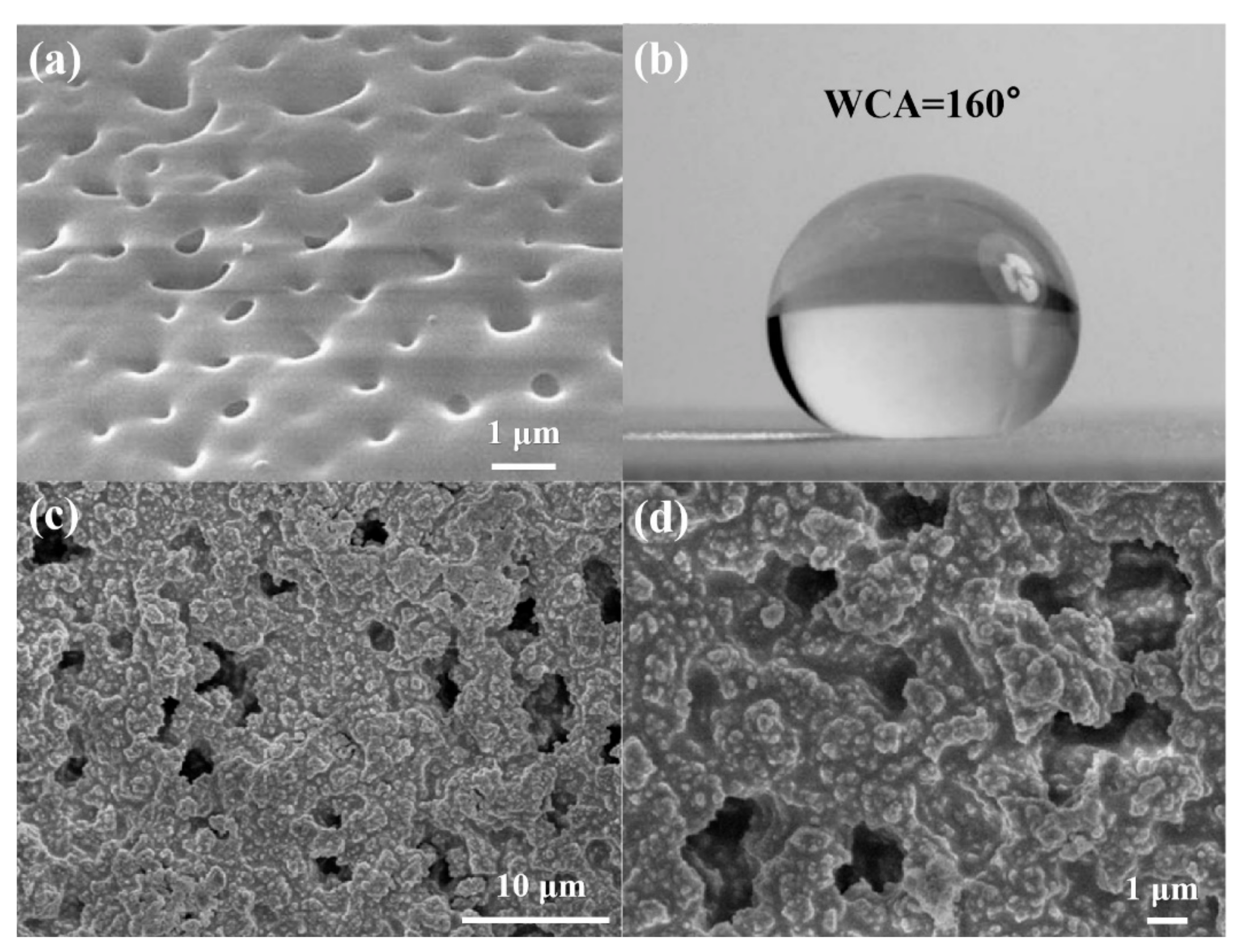 Coatings 09 00753 g006