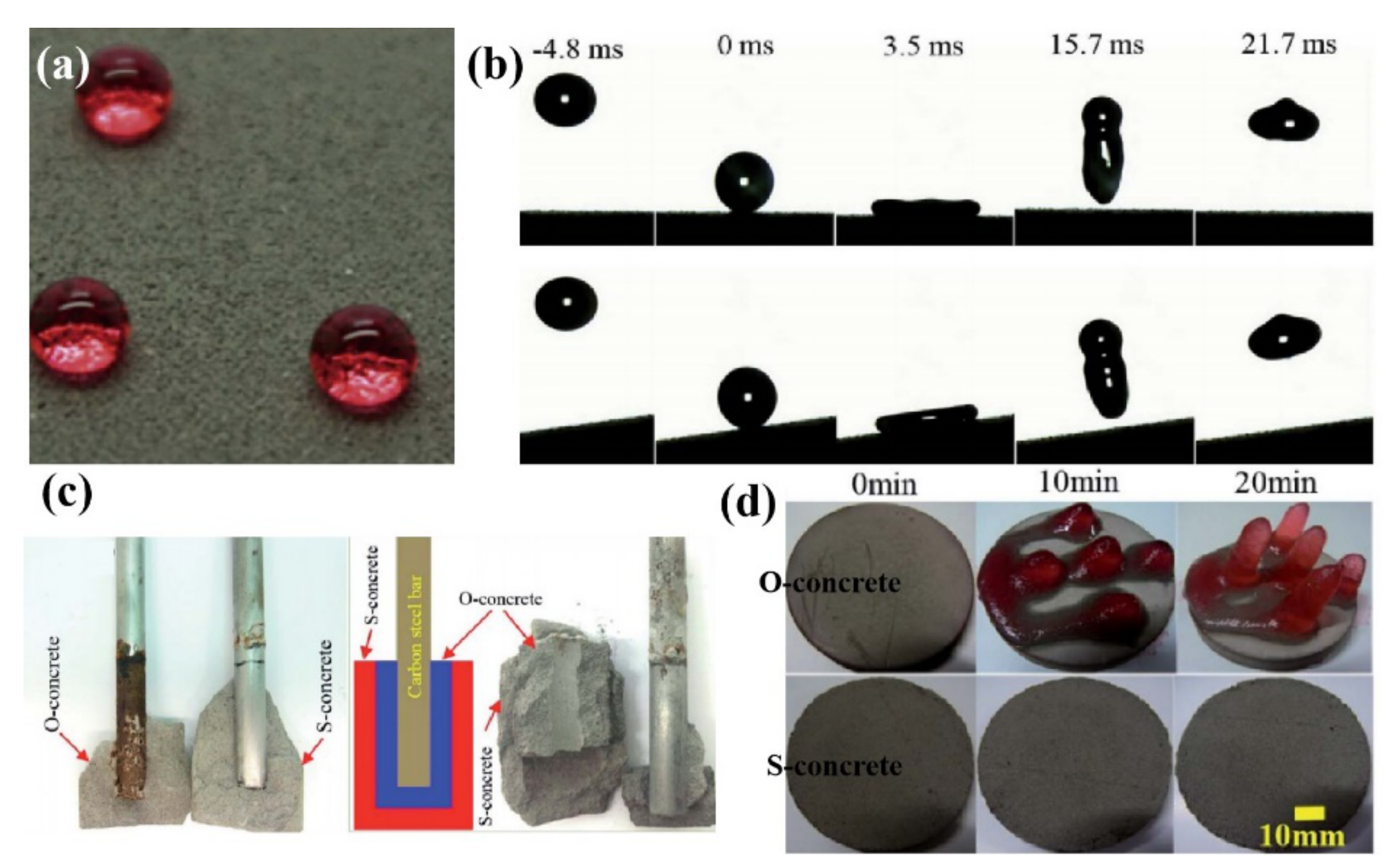 Coatings 09 00753 g011