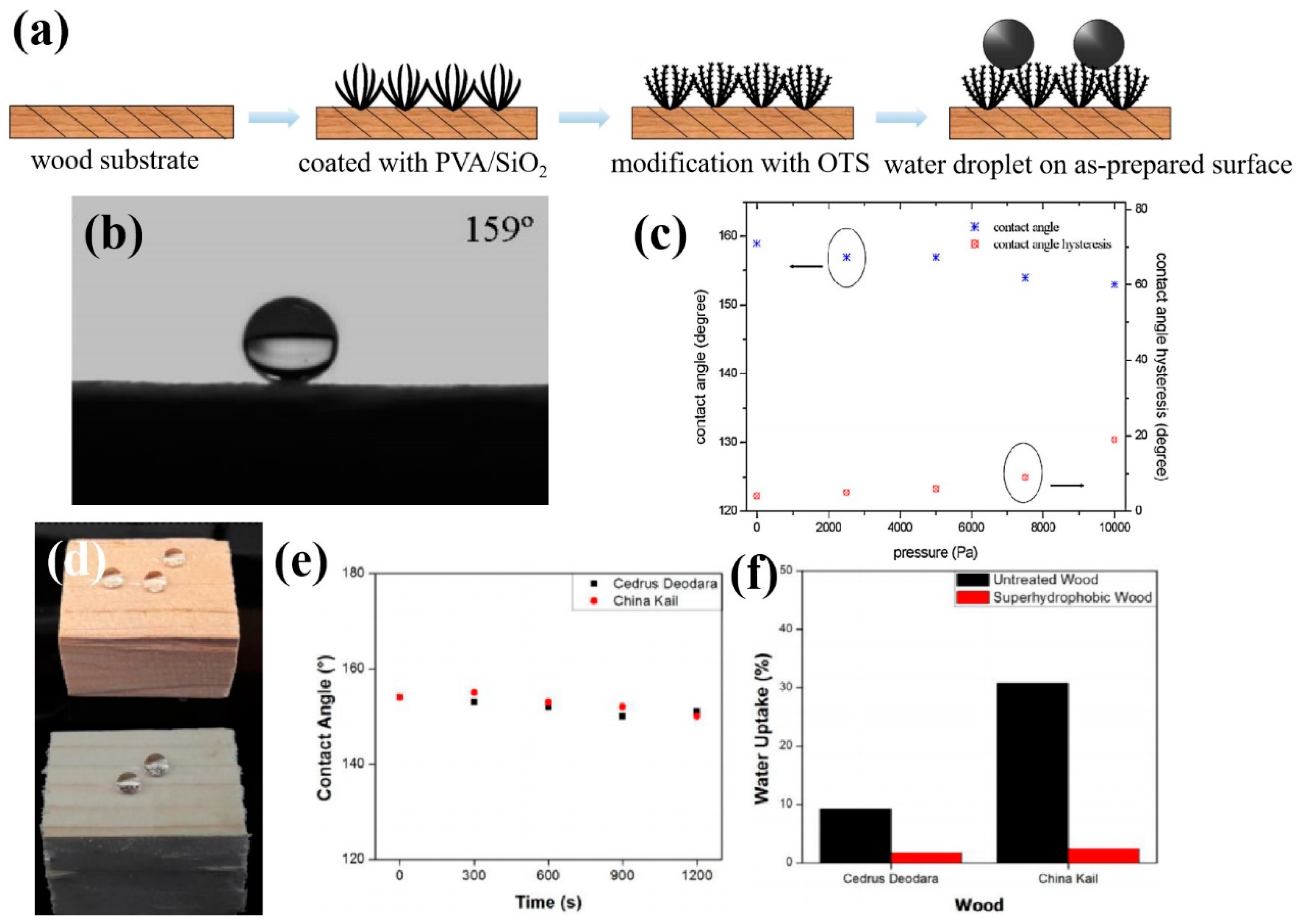 Coatings 09 00753 g012
