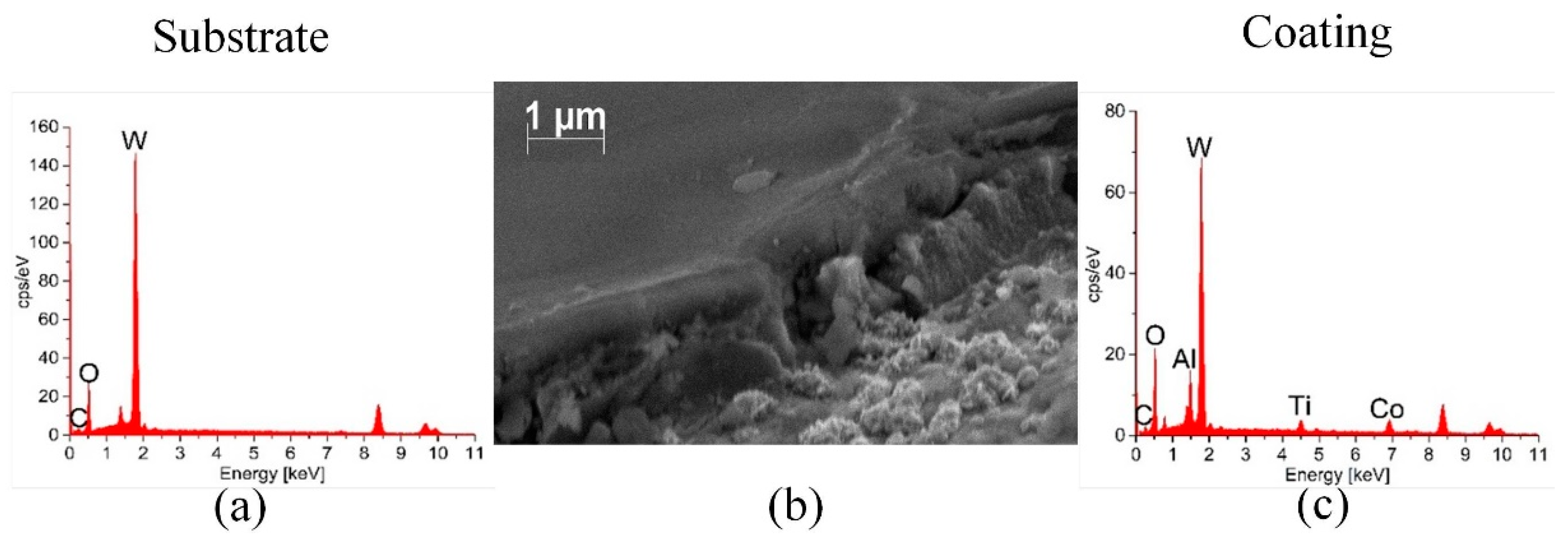 Coatings 09 00755 g005