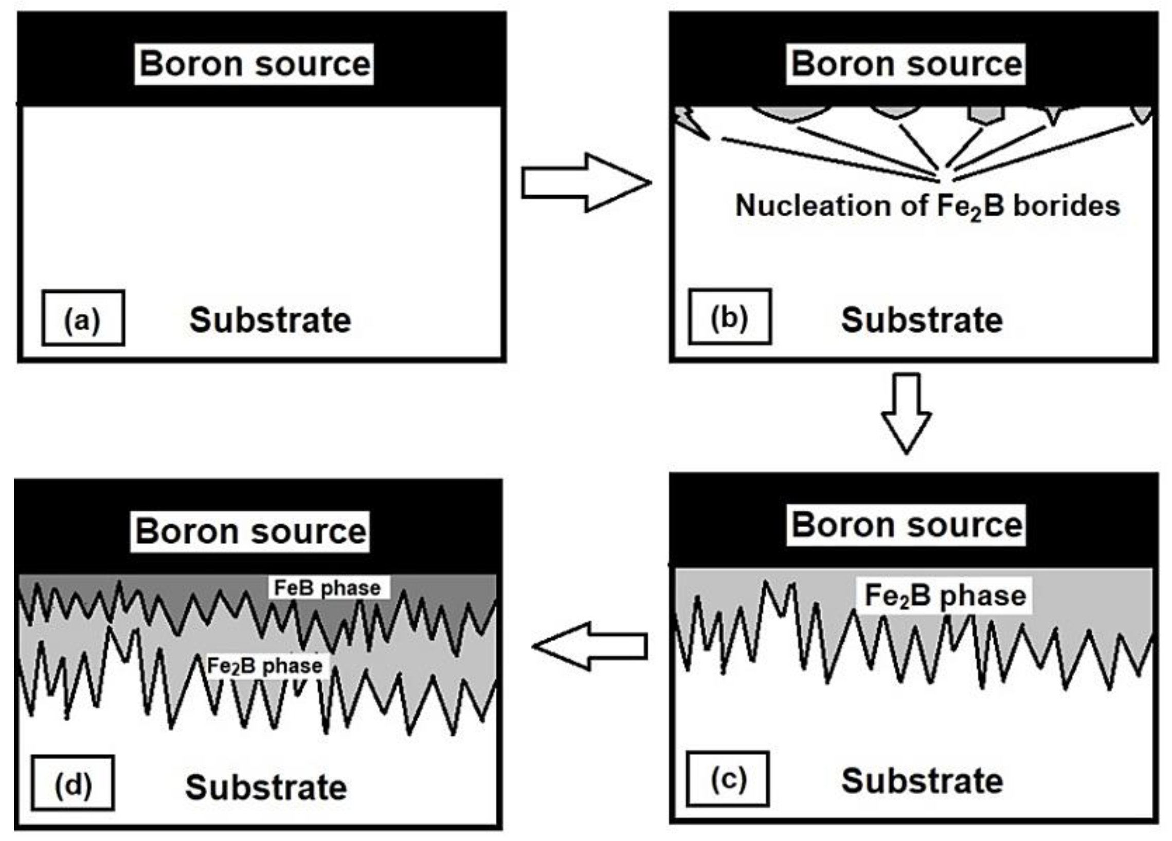 Coatings 09 00756 g001 550