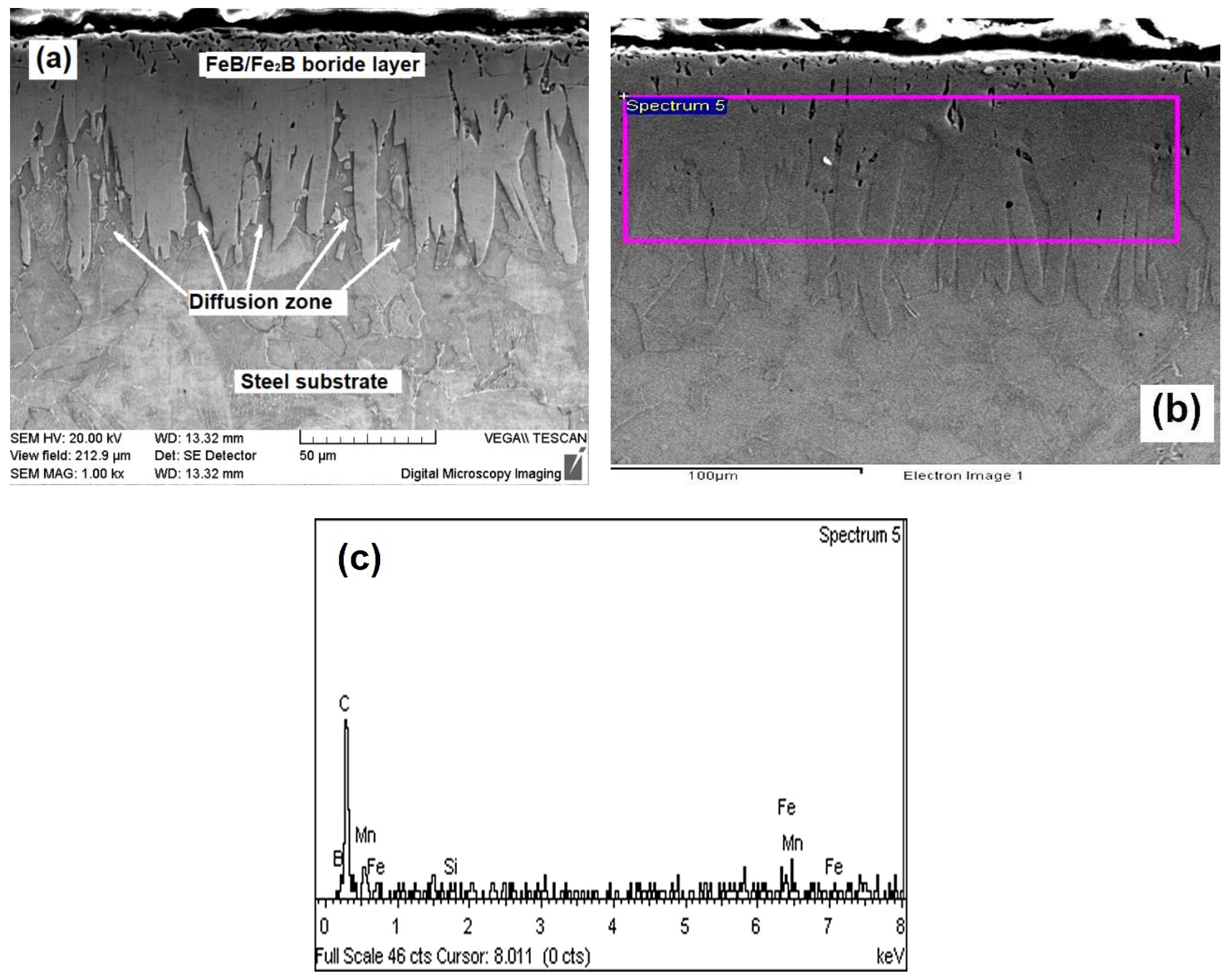 Coatings 09 00756 g004 550