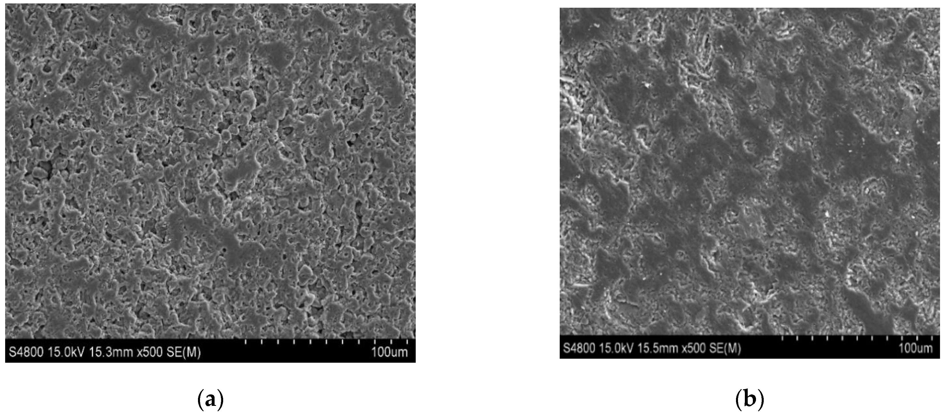 Coatings 09 00760 g009 550