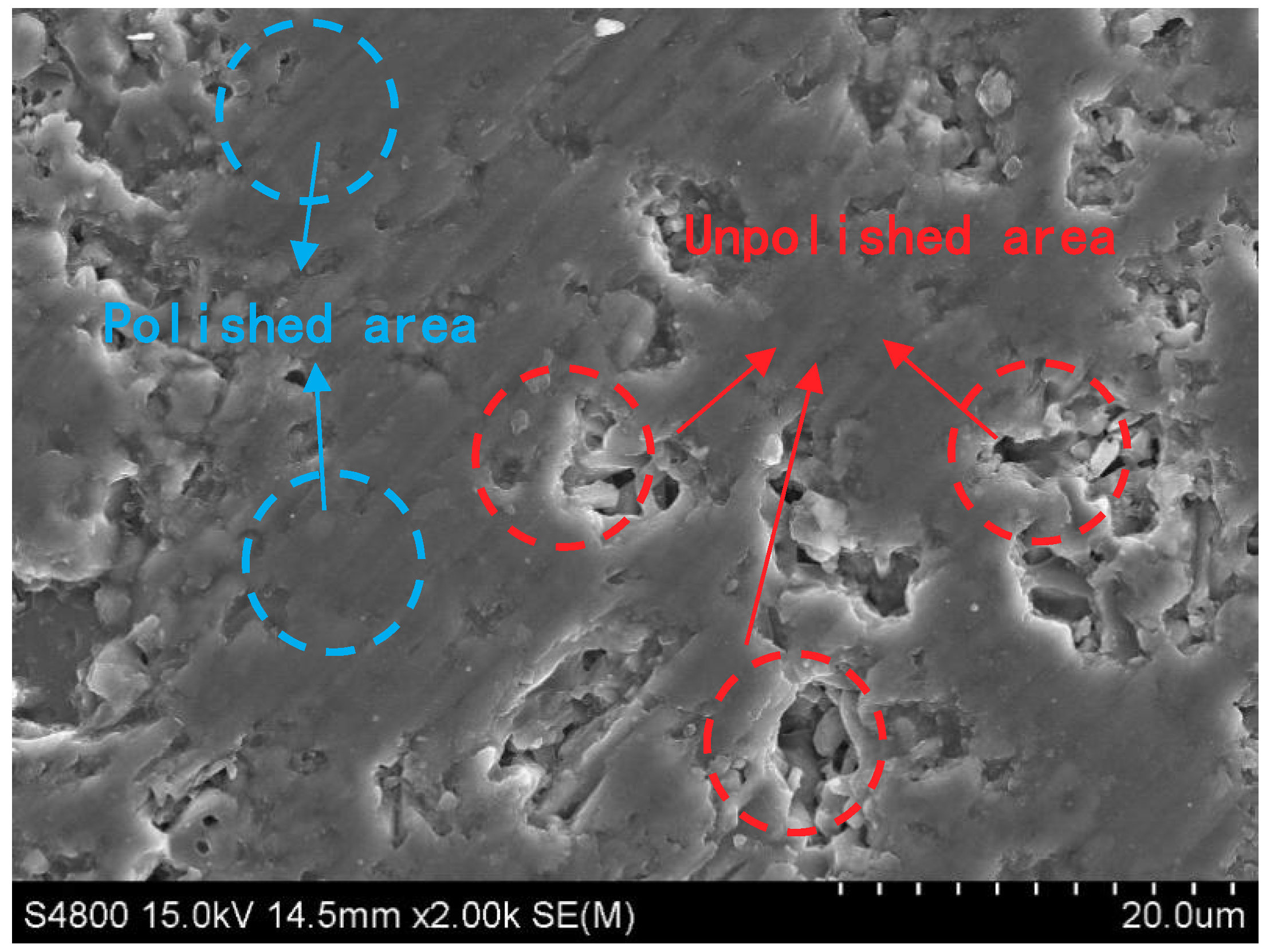 Coatings 09 00760 g010 550