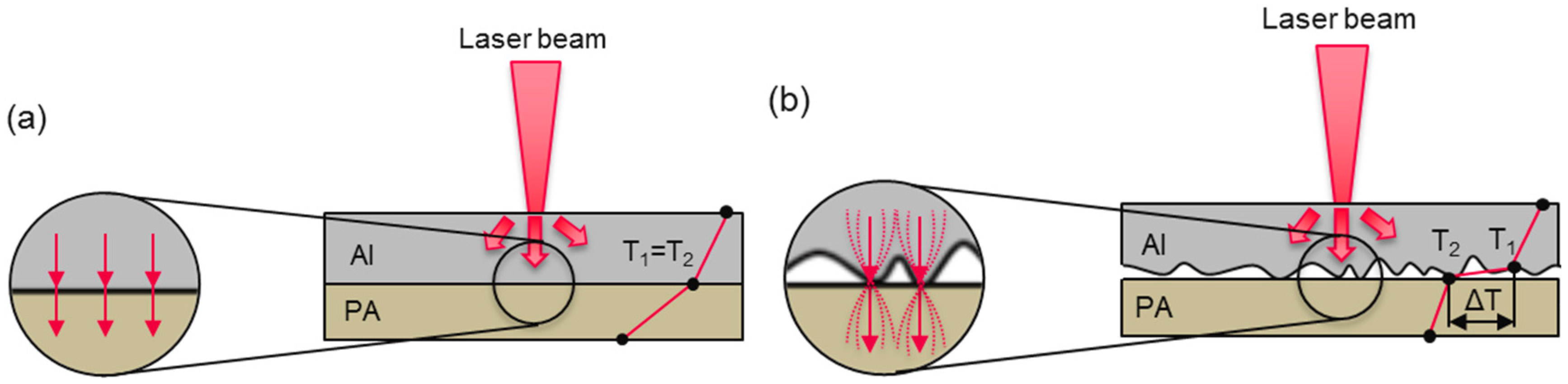 Coatings 09 00768 g003 550
