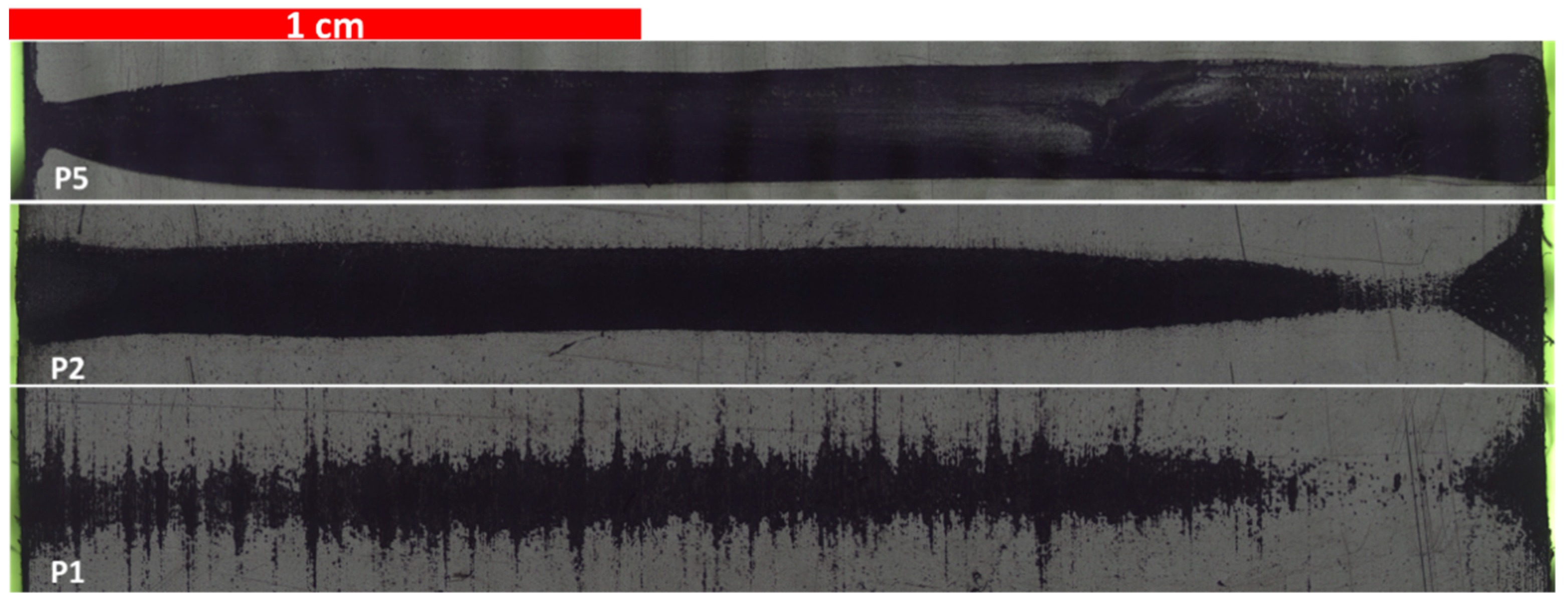 Coatings 09 00768 g006 550