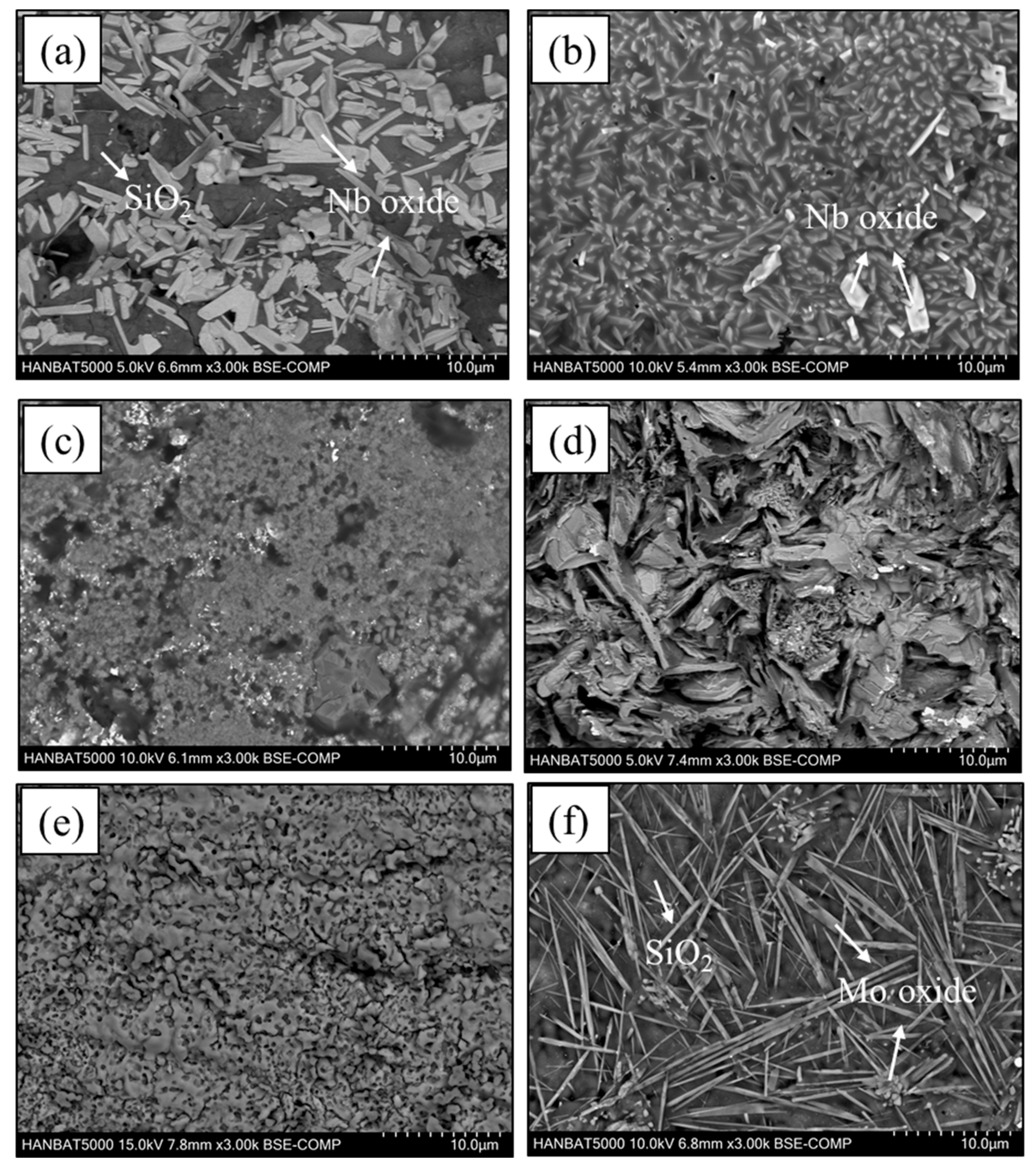 Coatings 09 00772 g006 550