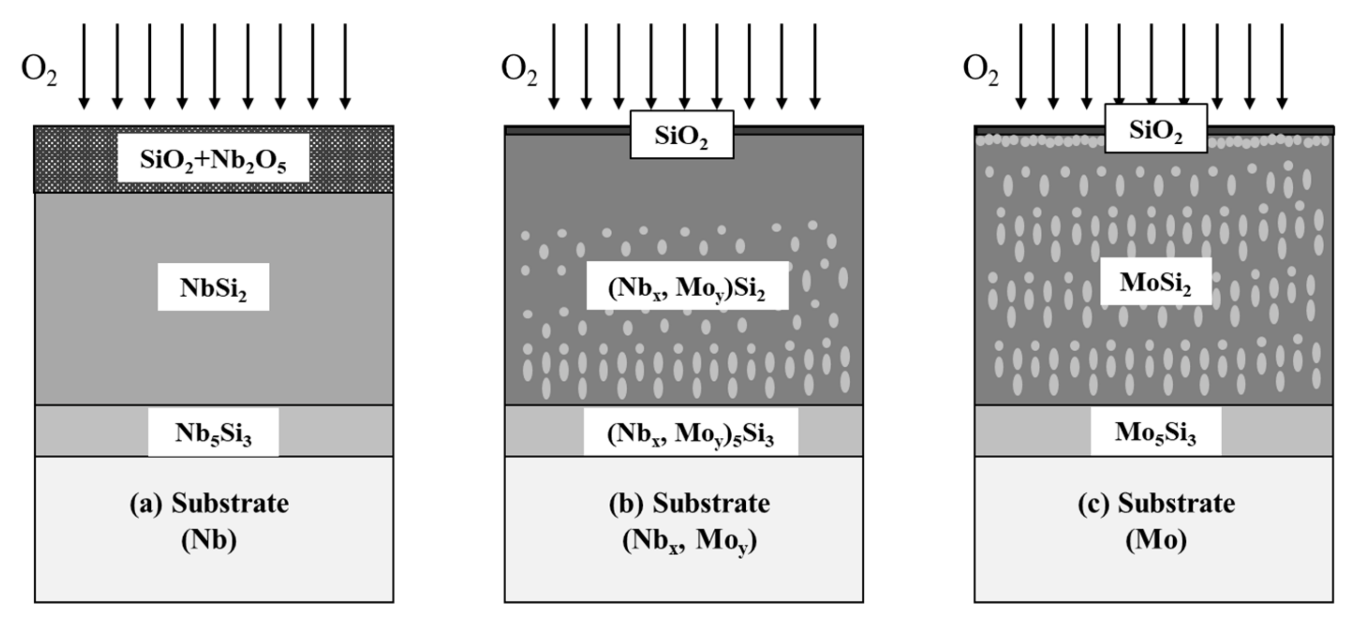 Coatings 09 00772 g010 550