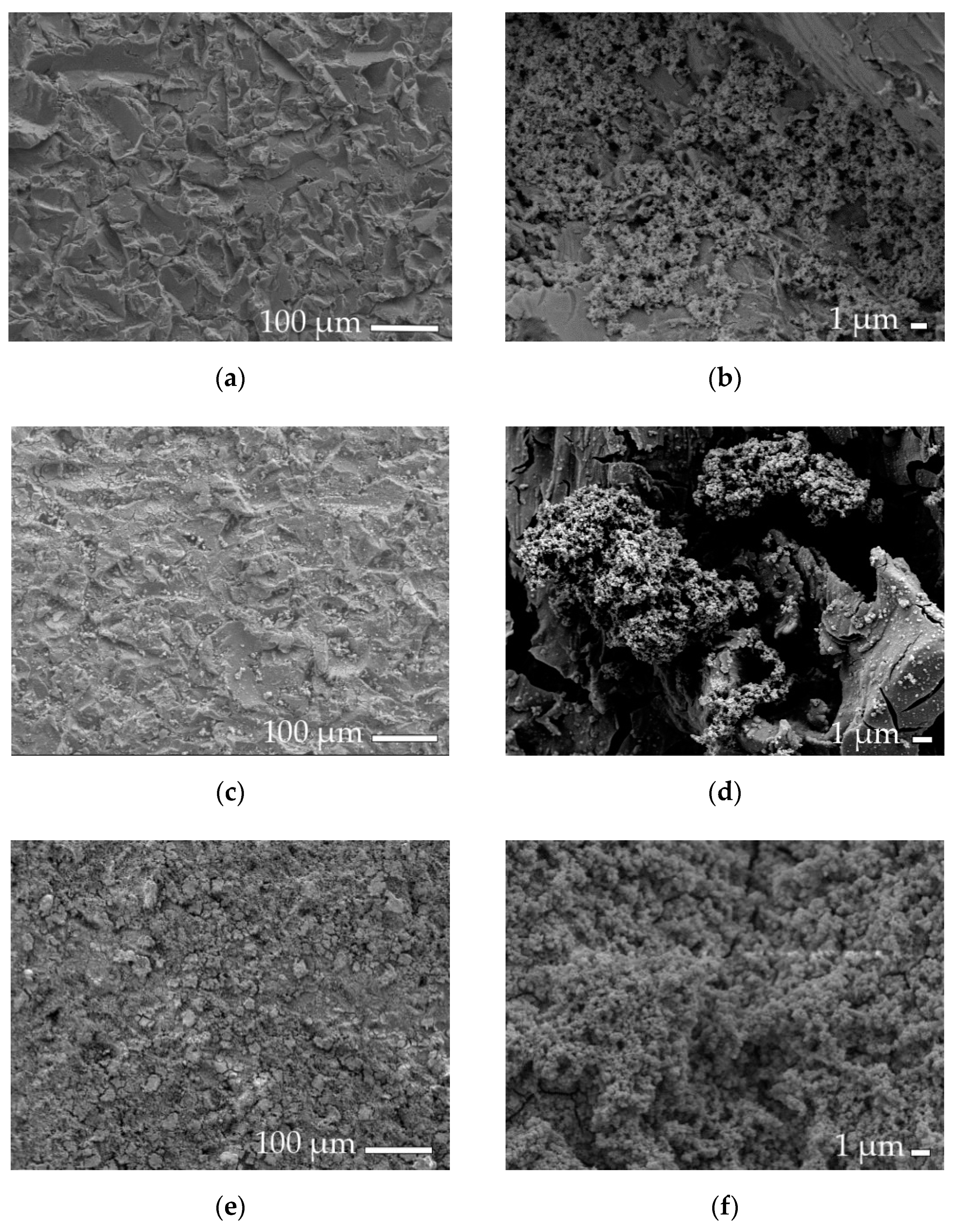Coatings 09 00774 g008a 550