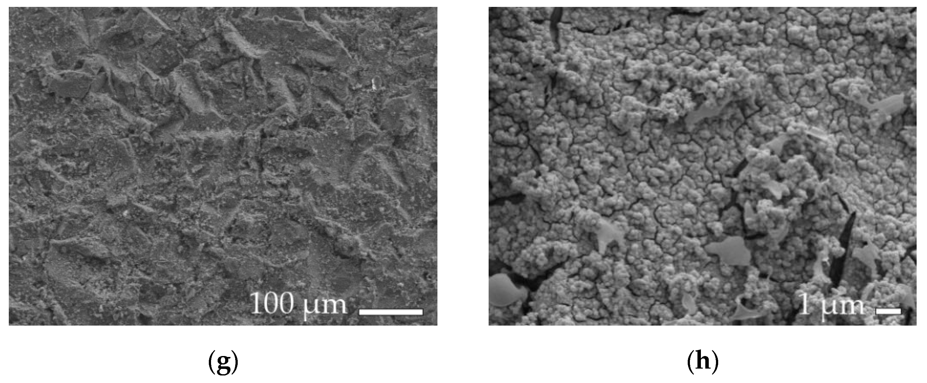 Coatings 09 00774 g008b 550