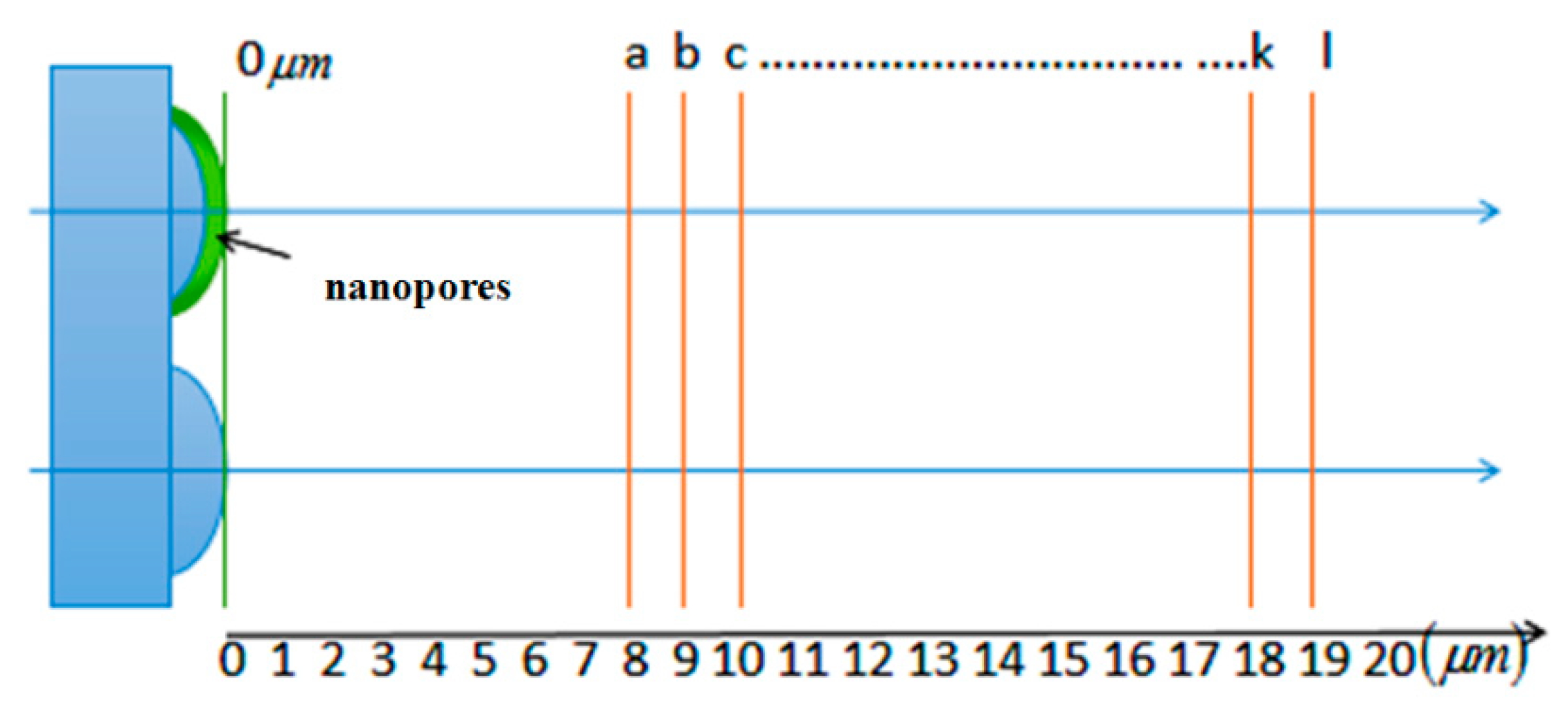 Coatings 09 00776 g011 550