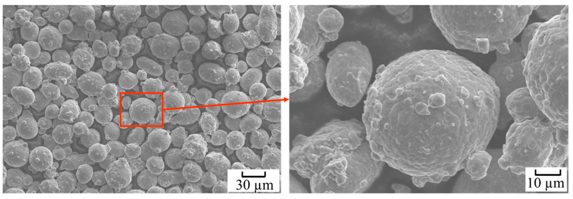 Coatings 09 00778 g004