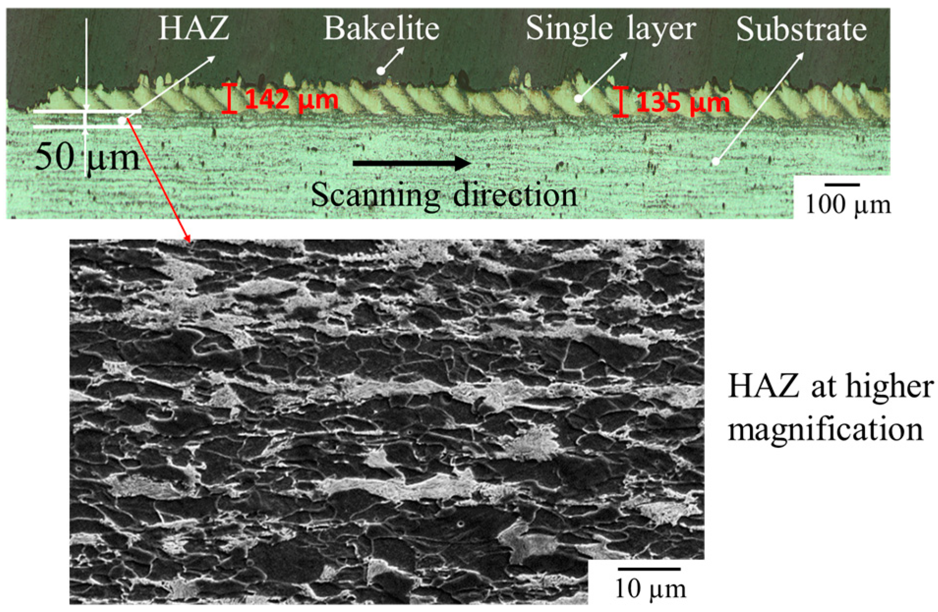 Coatings 09 00778 g009