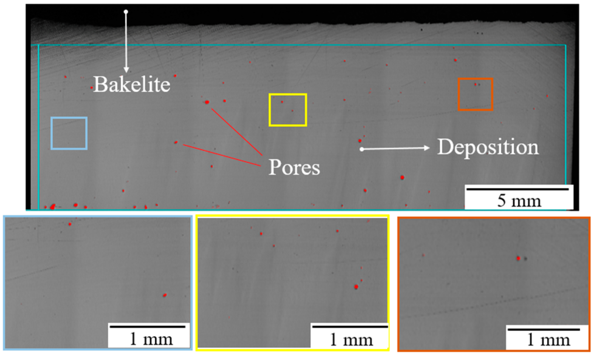 Coatings 09 00778 g012