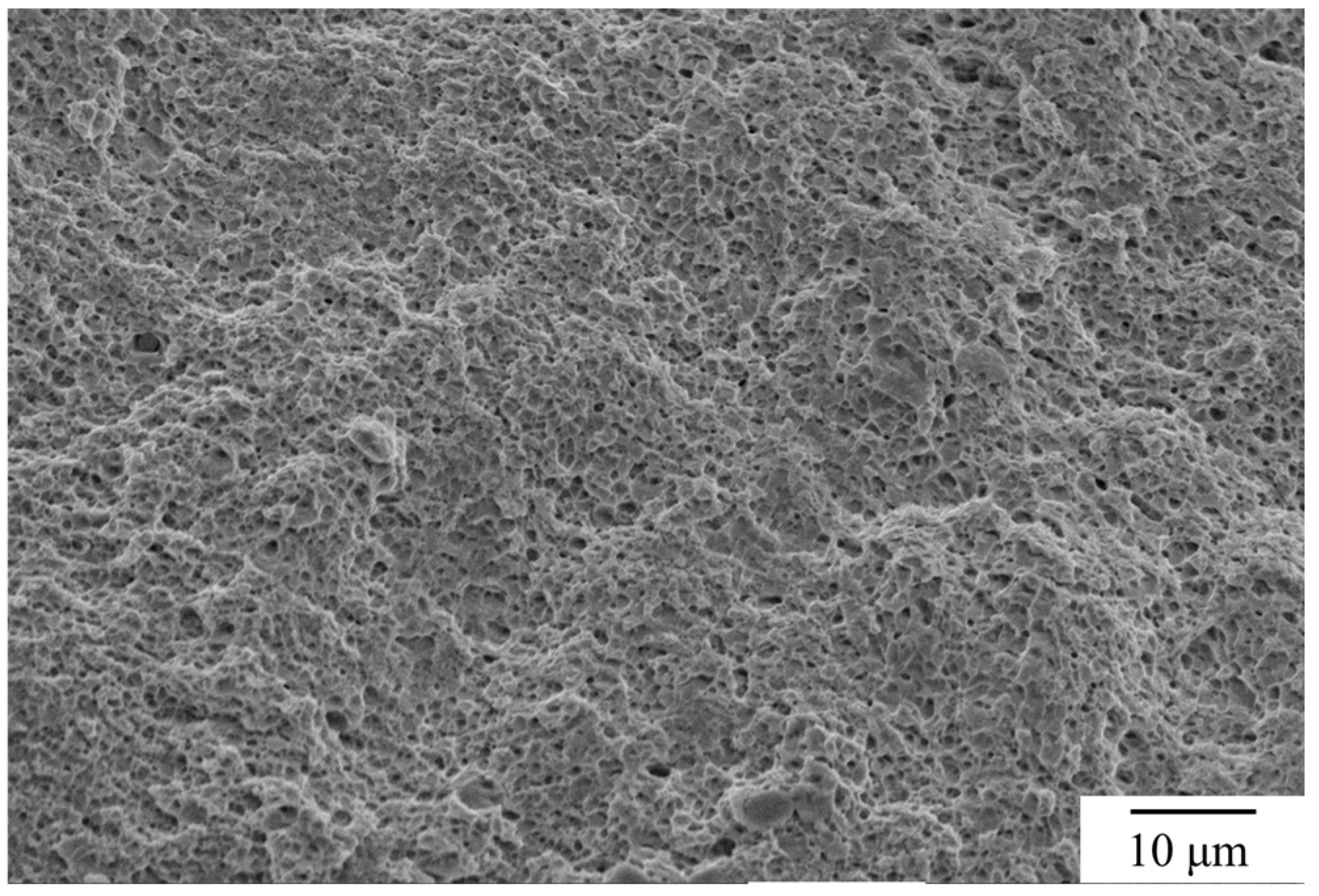 Coatings 09 00778 g022