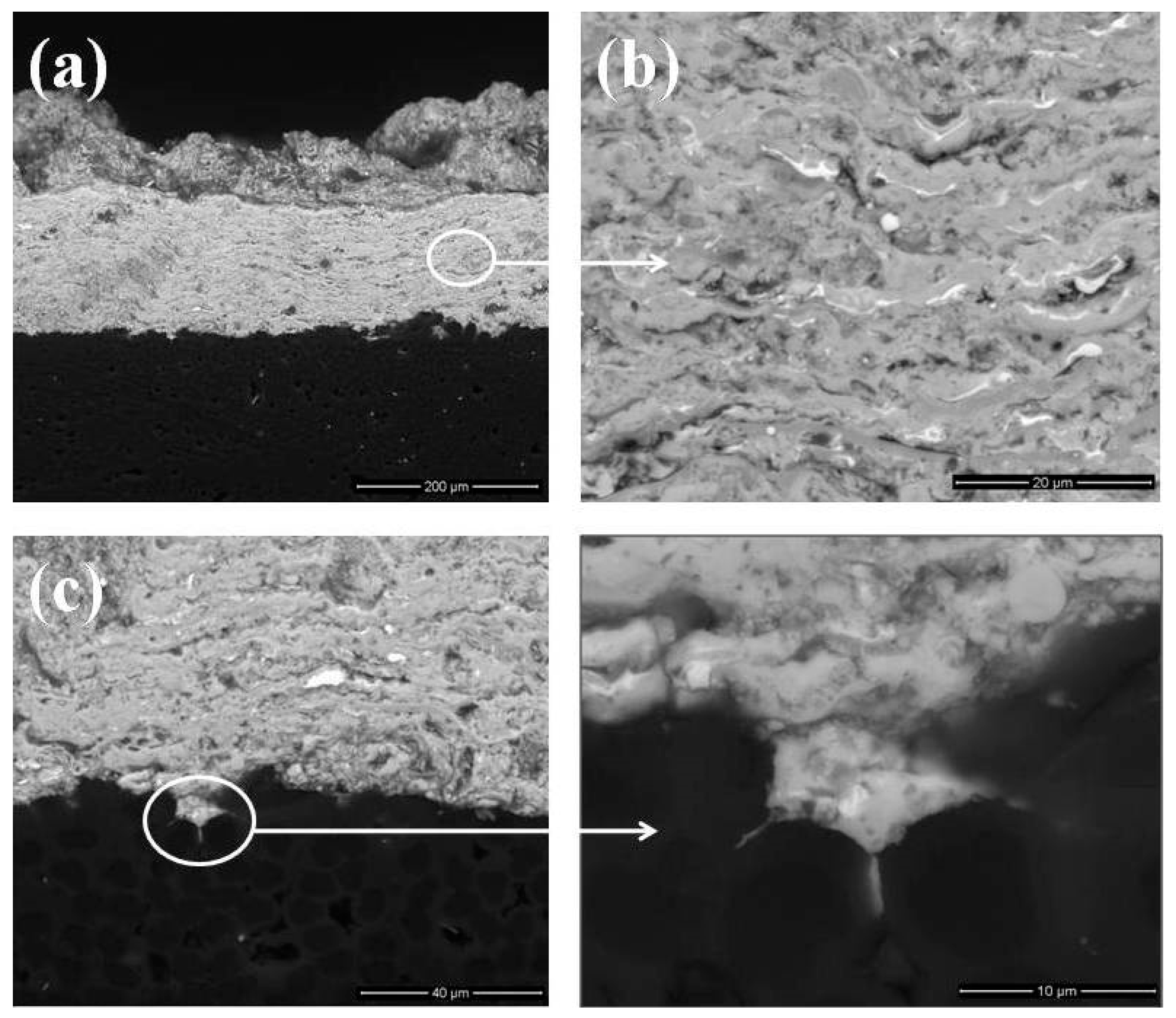 Coatings 09 00779 g004 550