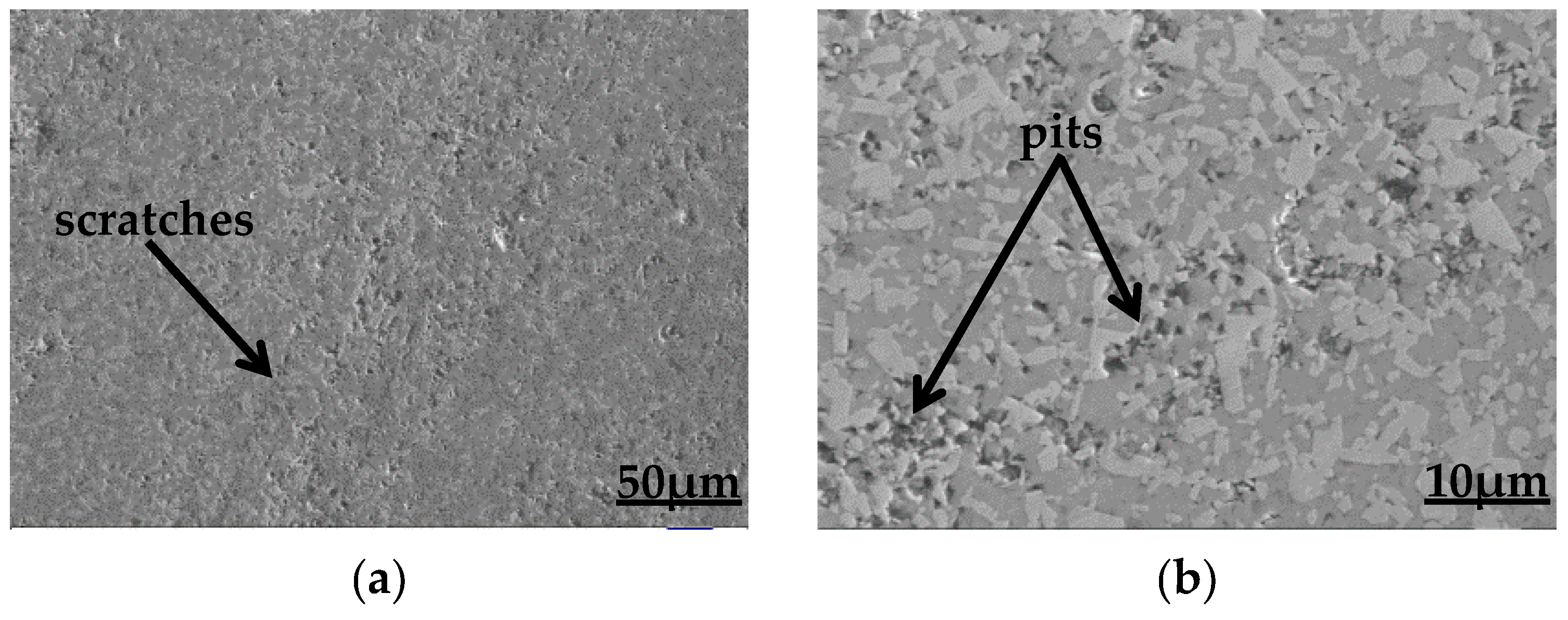 Coatings 09 00780 g014