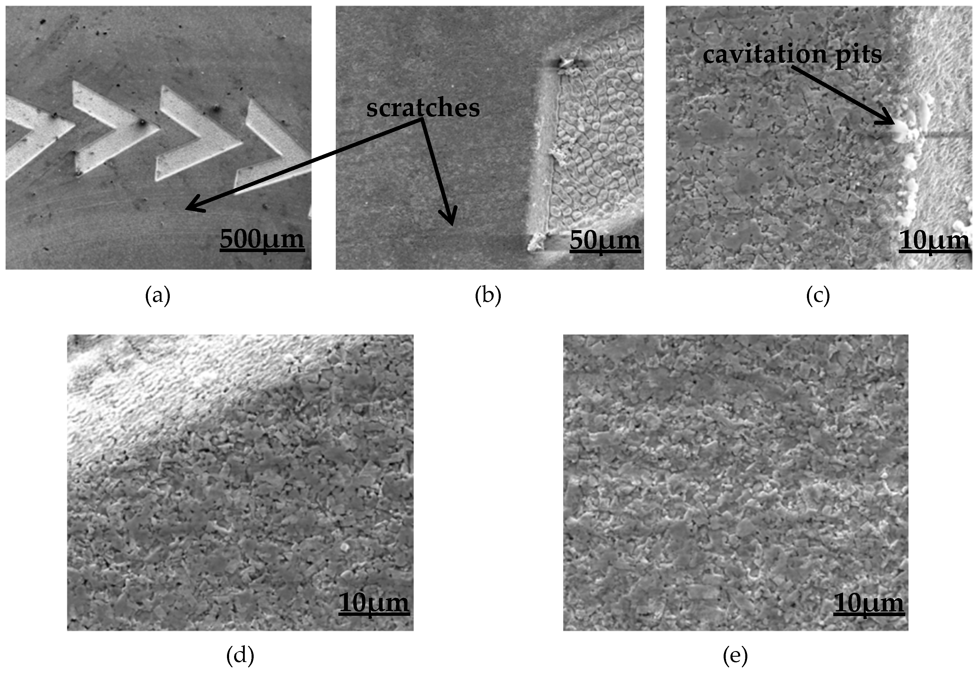 Coatings 09 00780 g016