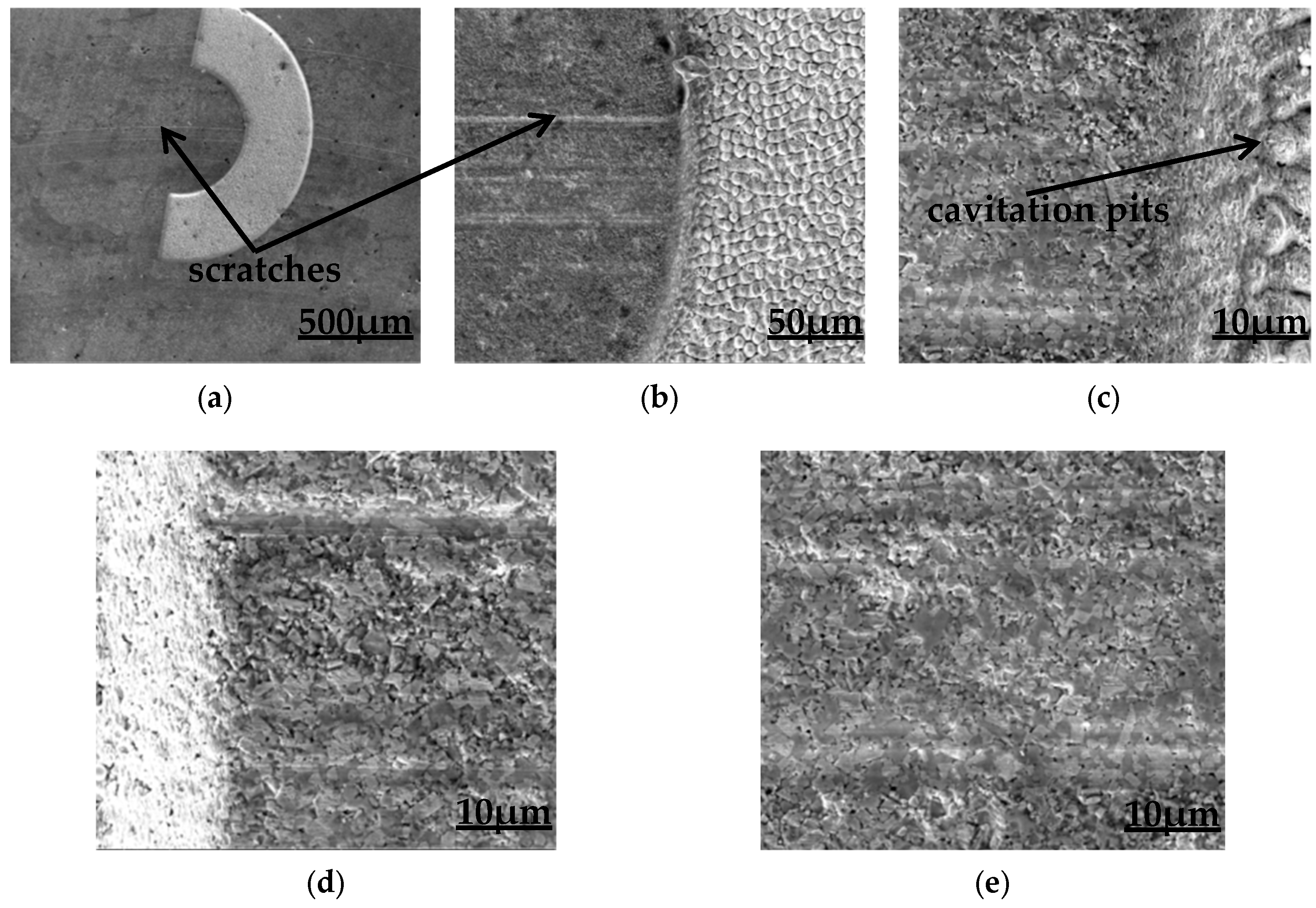 Coatings 09 00780 g017