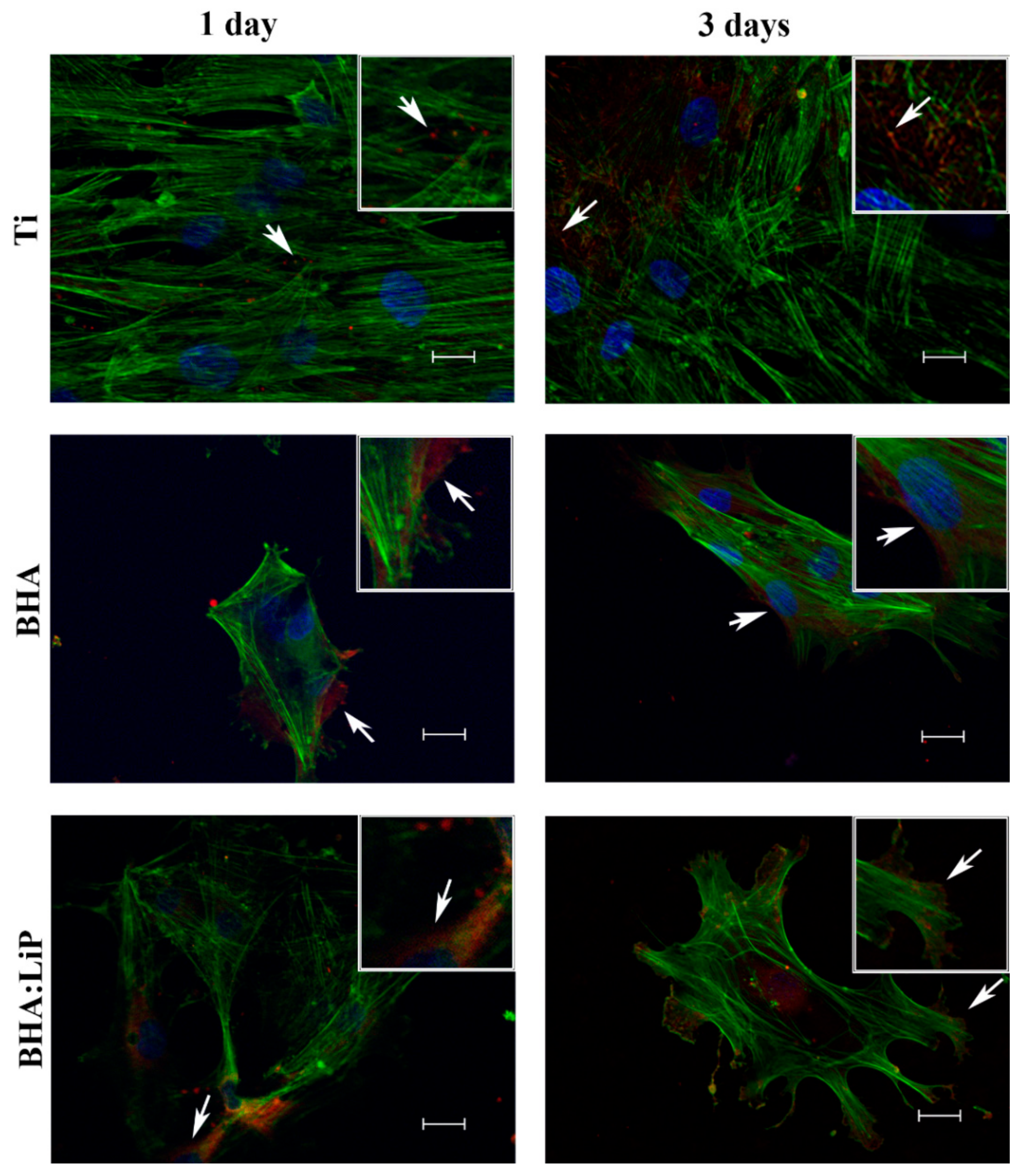 Coatings 09 00781 g001 Coatings 09 00781 g001